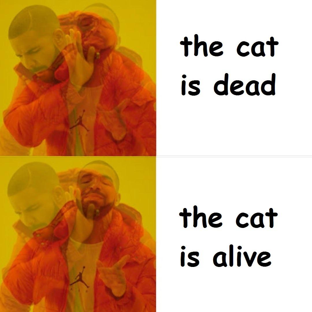 Schrodinger's meme r/physicsmemes