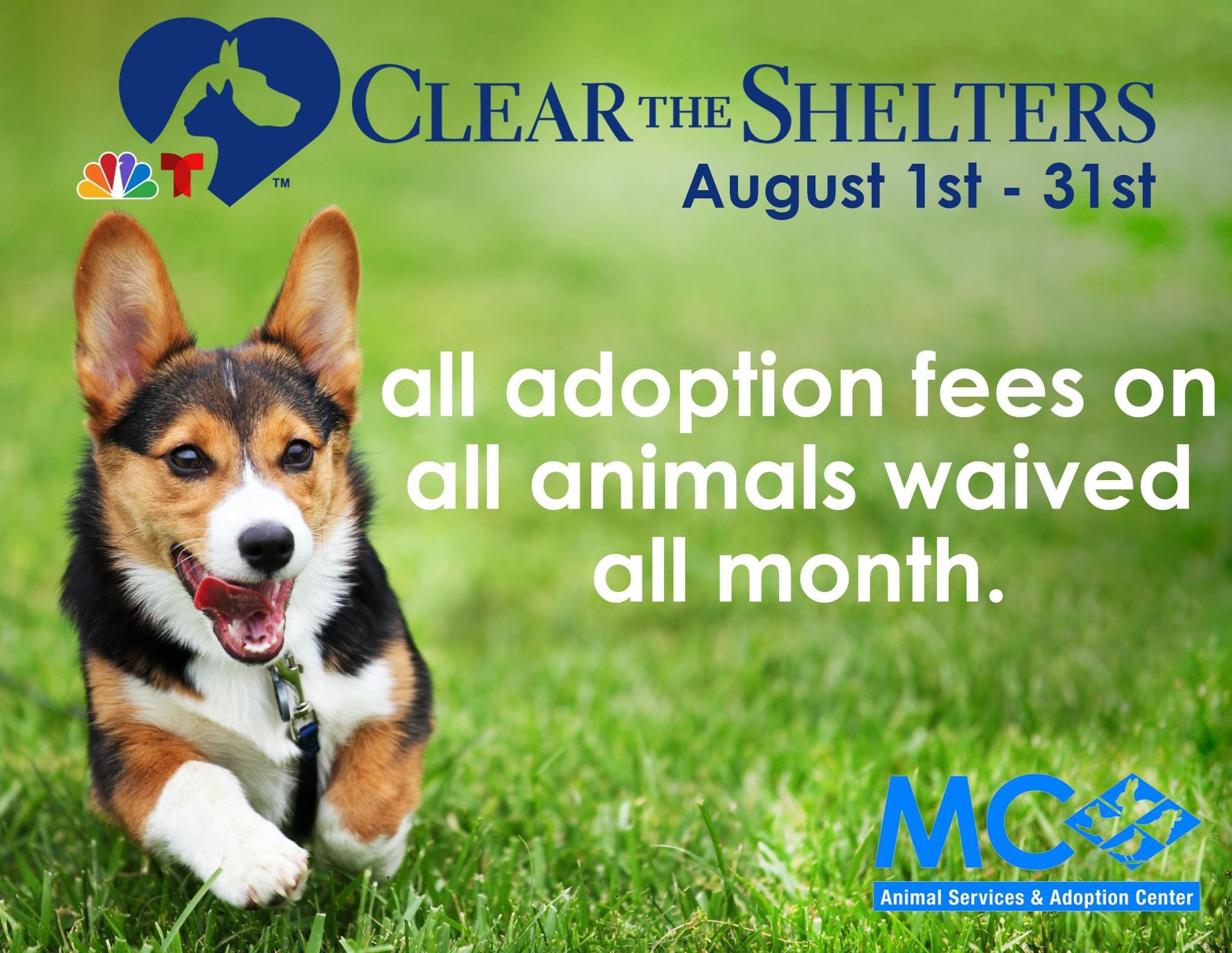 All shelter adoptions fees waived all August. r/maryland