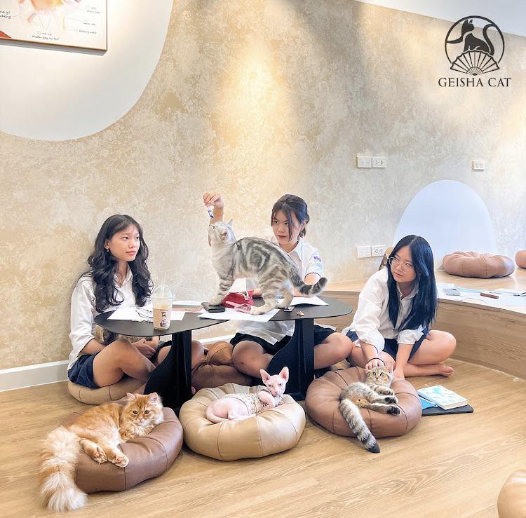 Are cat cafes ethical? Can they exist to benefit cats? I want to visit