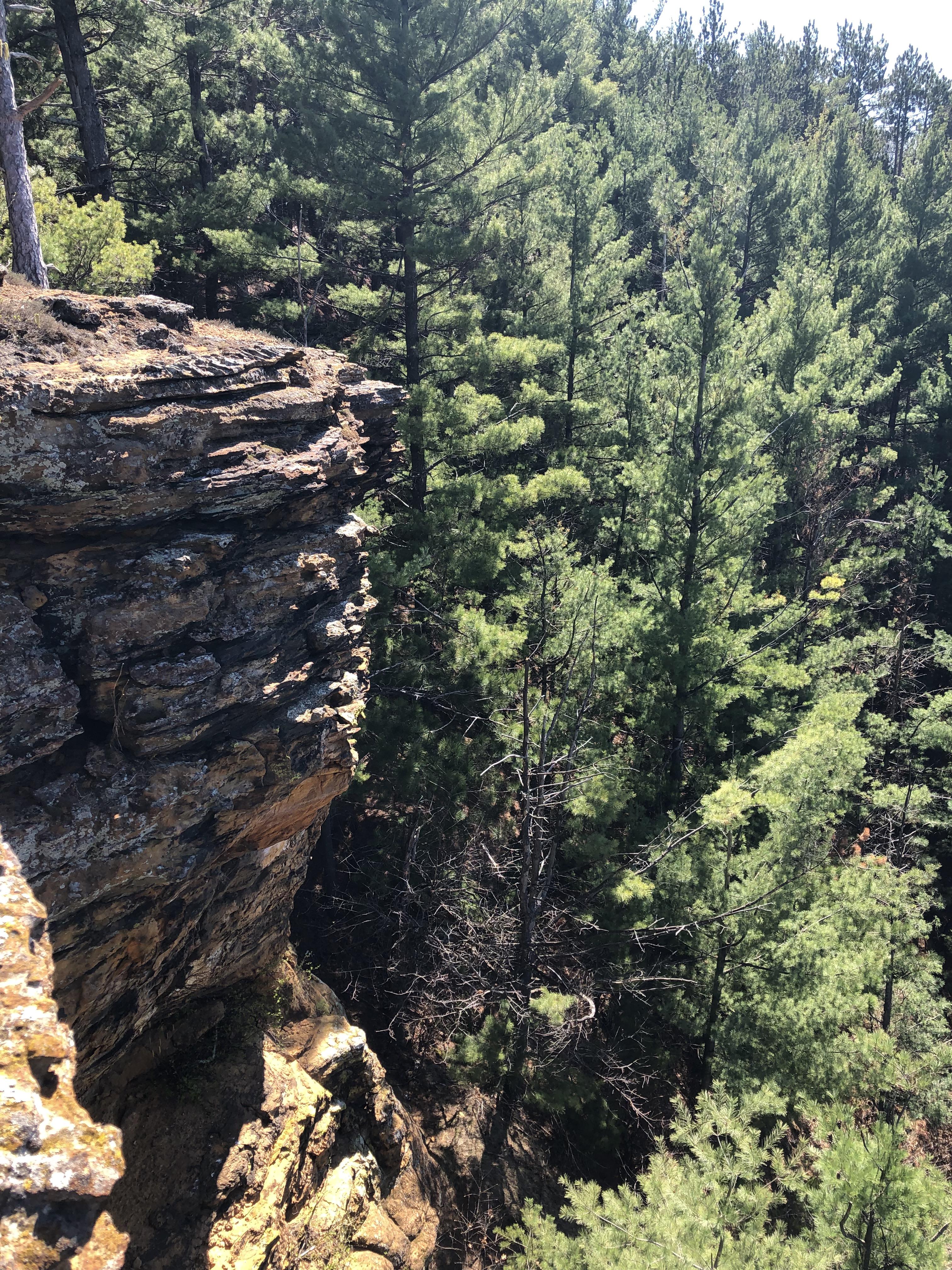 Clarence Trail, Levis Mound, Clark County, Wisconsin r/hiking