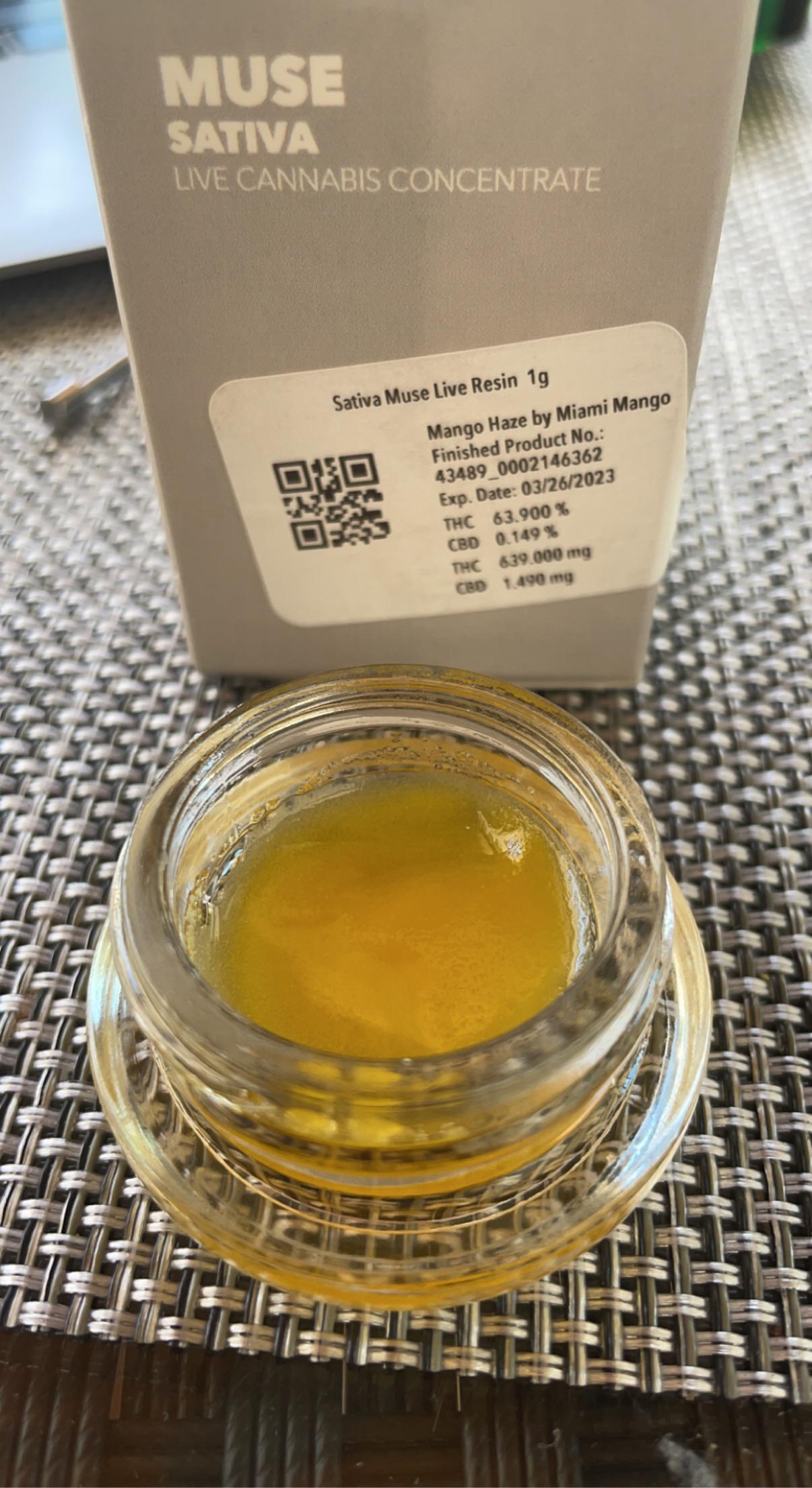 Mango Haze by Miami Mango r/FLMedicalTrees