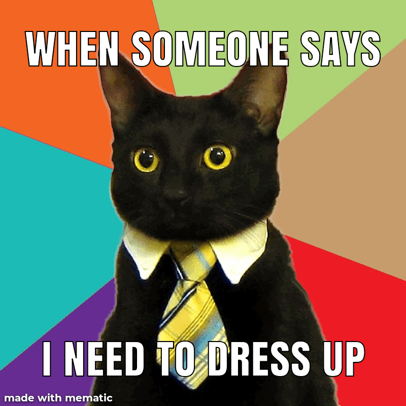 Fancy cat go brrr r/memes