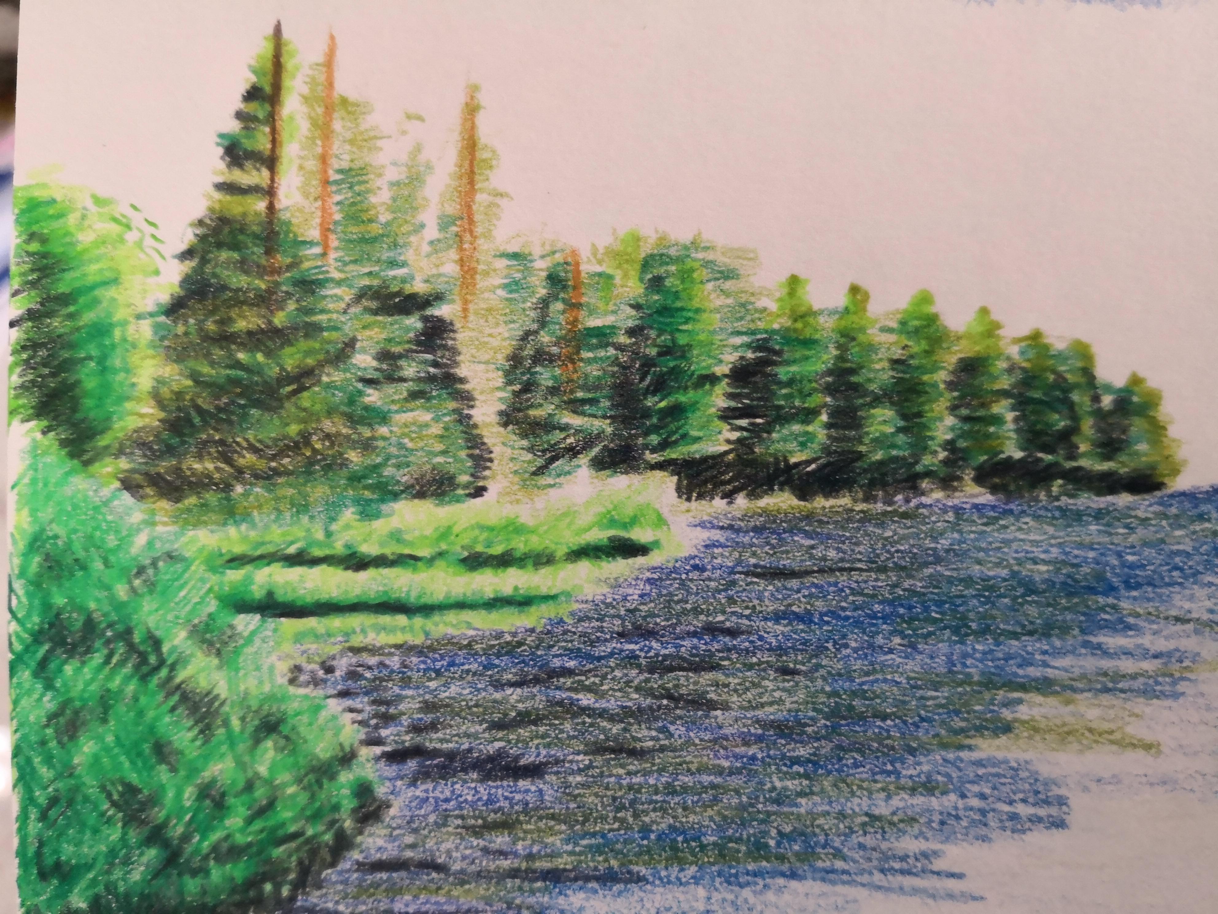 Practicing landscapes in colour pencils r/learnart
