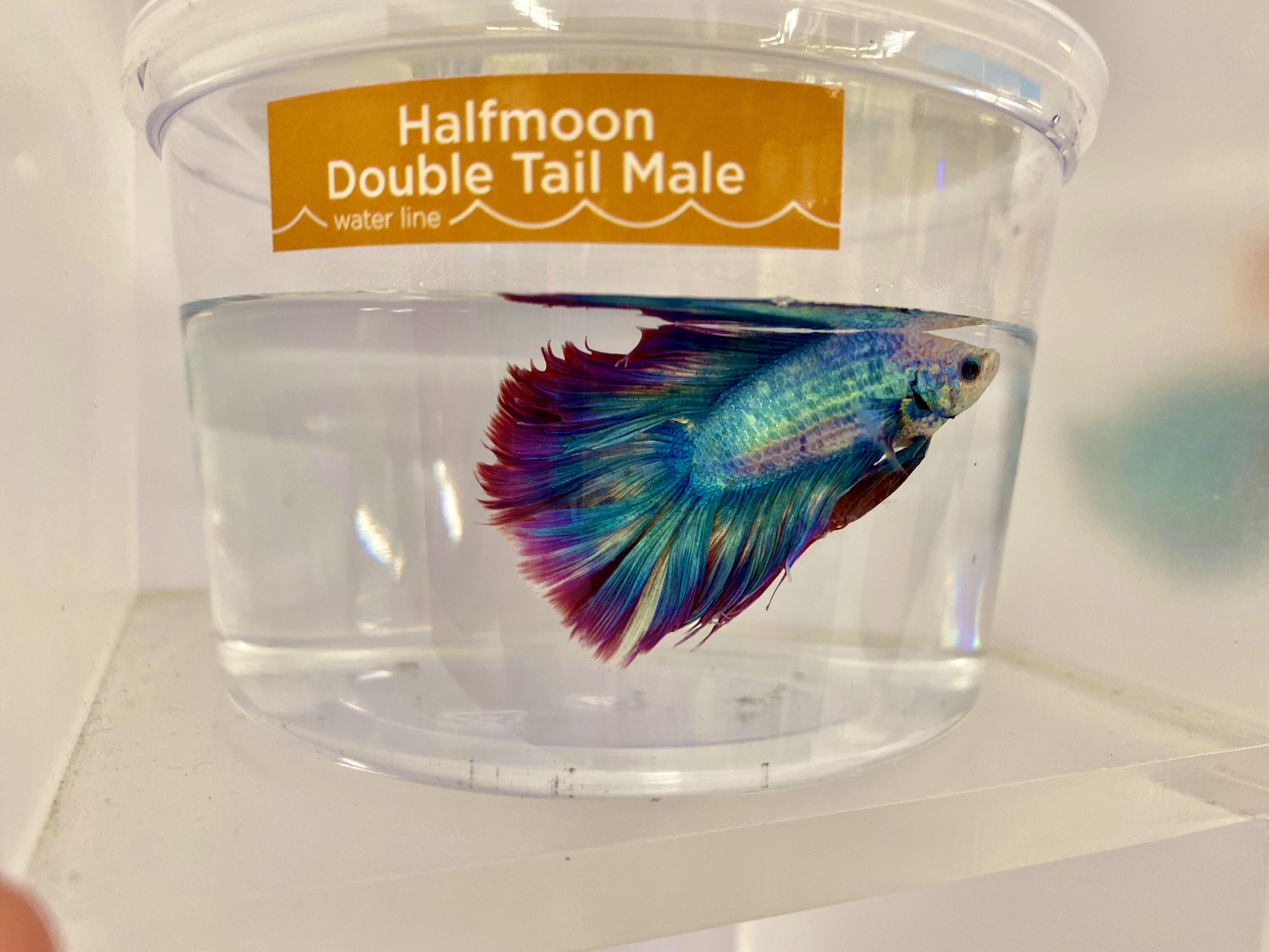 10 best u/draineddyke images on Pholder Aquarium Memes, Aquariums and