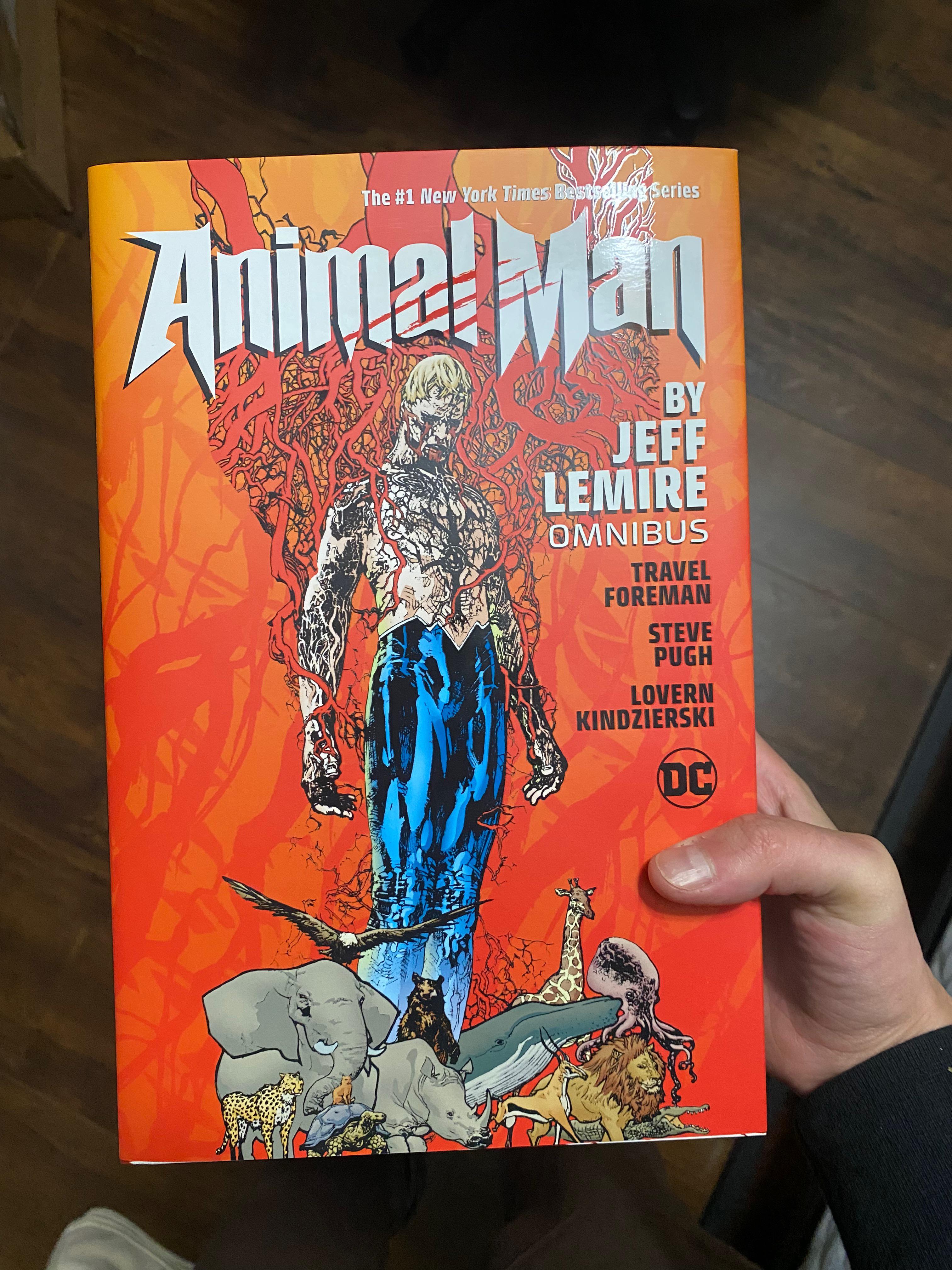 Just finished Animal Man by Lemire and it is now one of my favorite DC