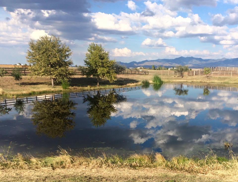 Took a short weekend trip from Phoenix to the Last Stand Guest Ranch