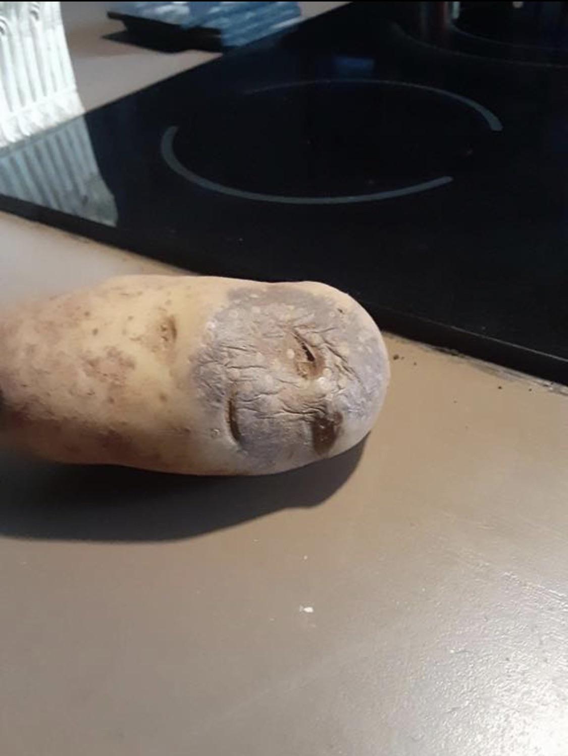 This baked potato. r/pics