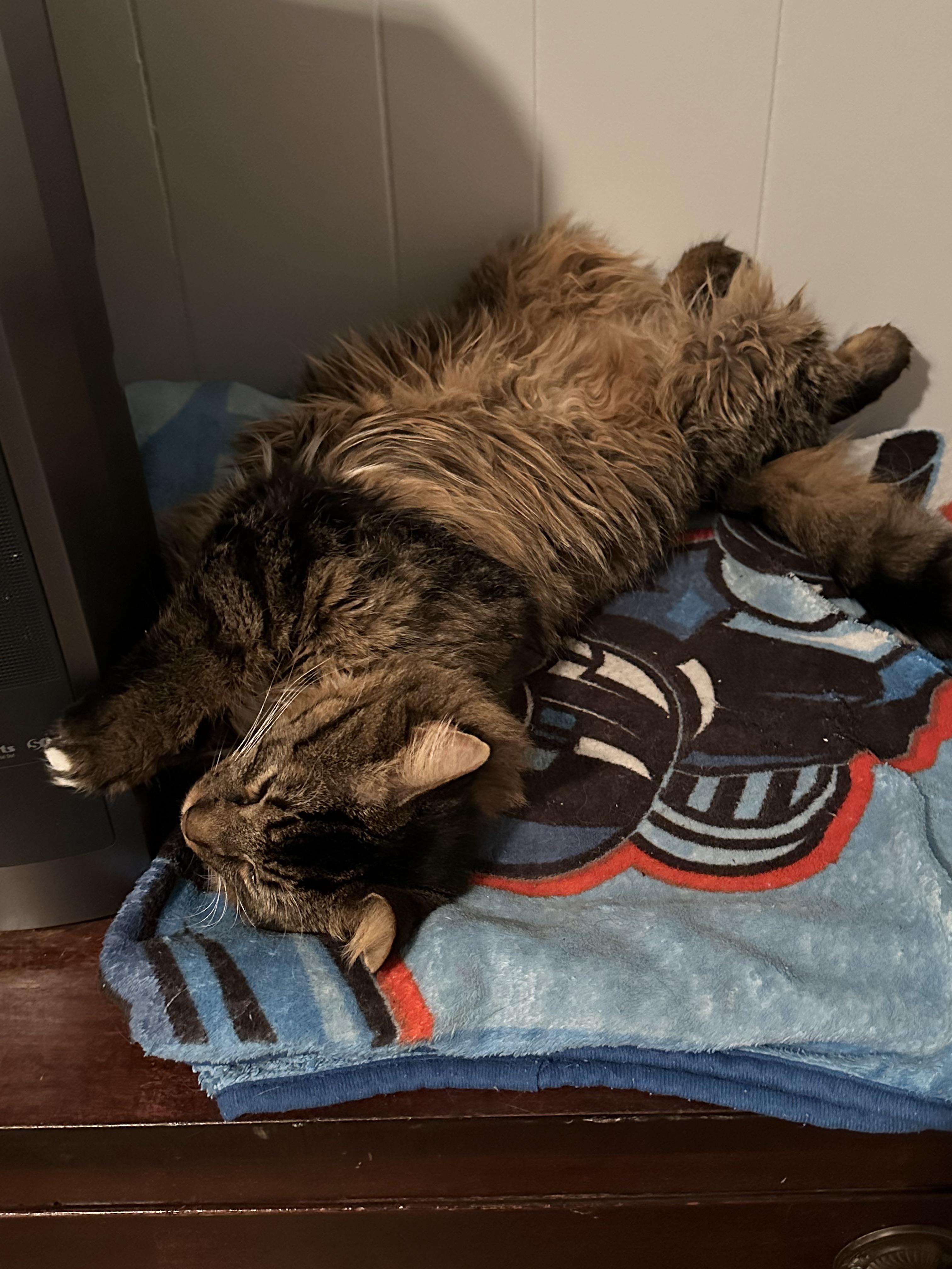 Bear keeps me up all night but gets upset when I wake him up during the