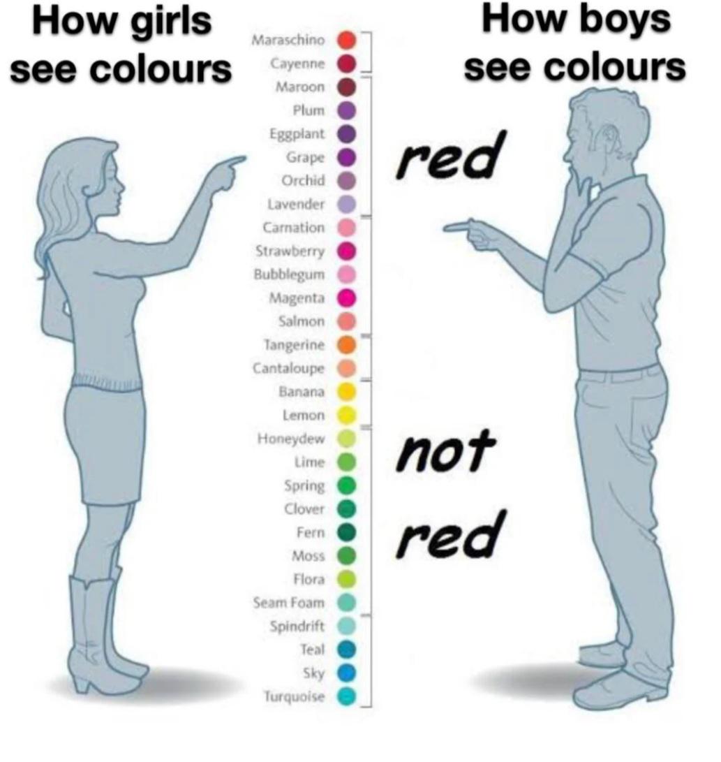 How boys seen colors and how girls seen colors r/boysarequirky