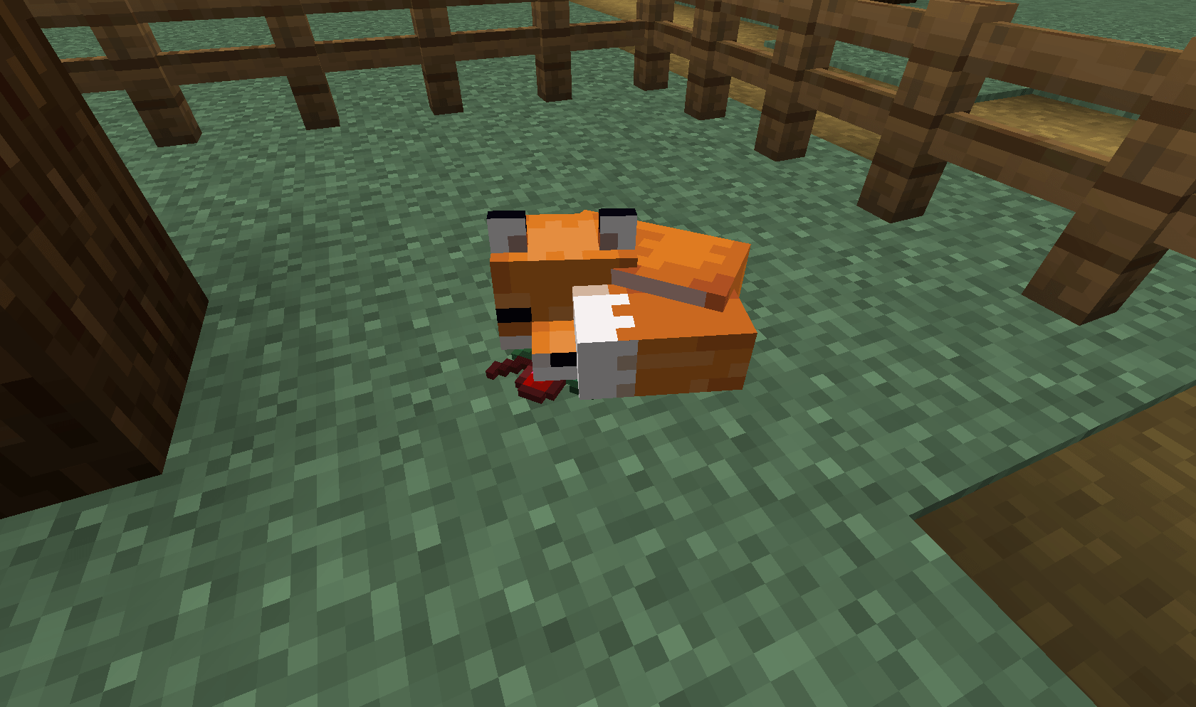 I fell down the fox hole because of Minecraft... 3 foxes