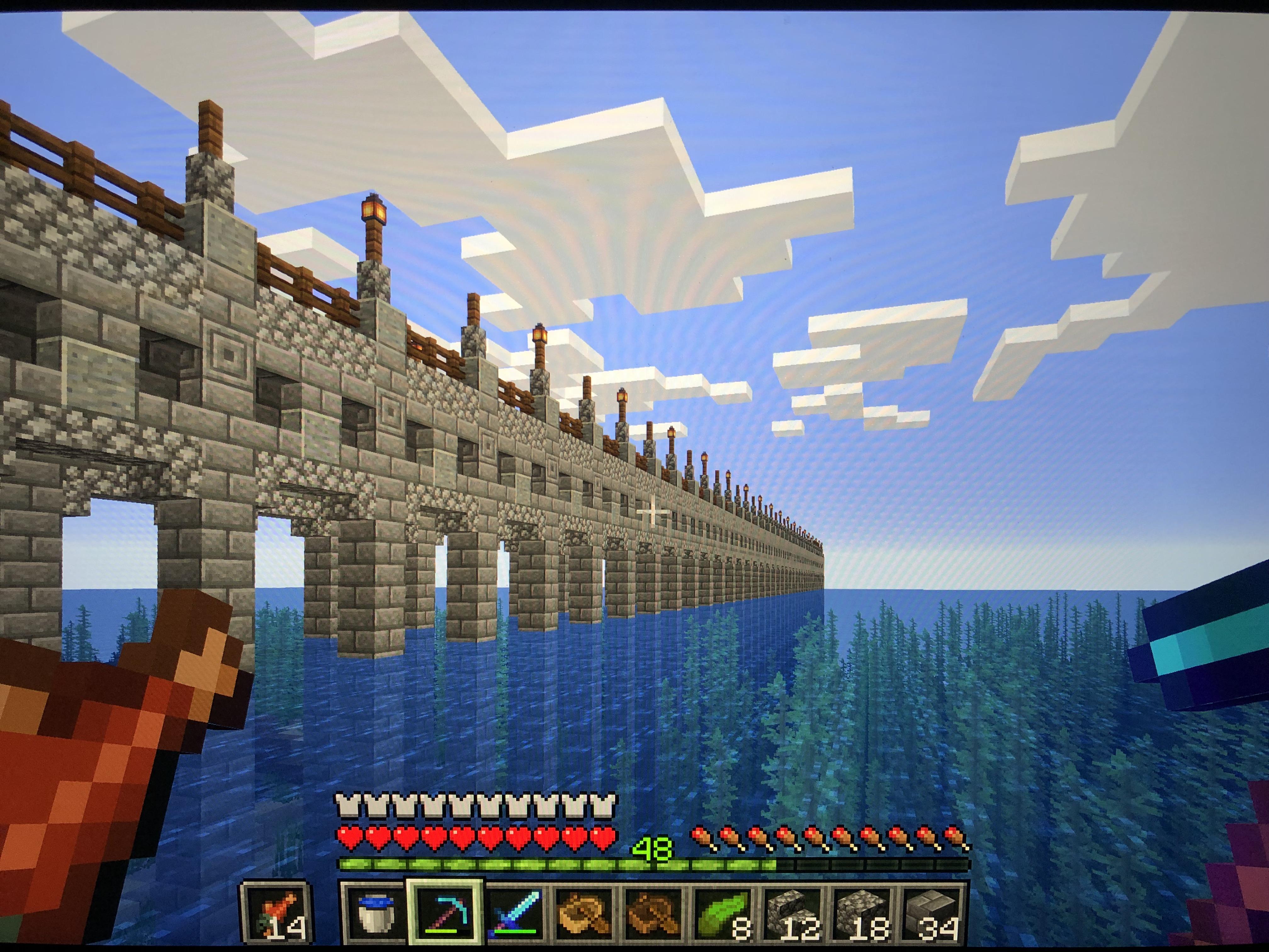 This bridge that me and my girlfriend built on my vanilla survival