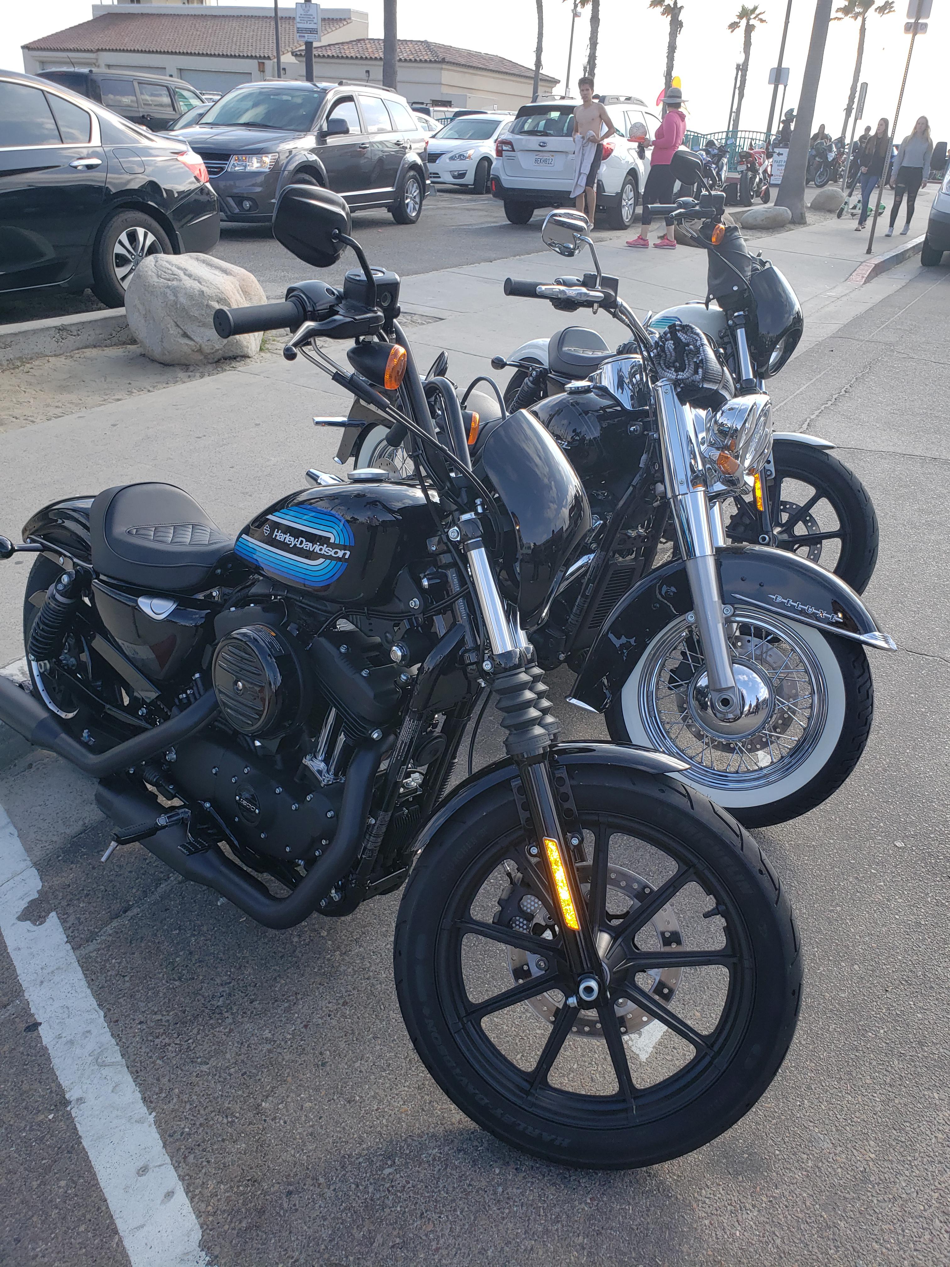 Got my first motorcycle! Quick question, will a le pera daytona daddy