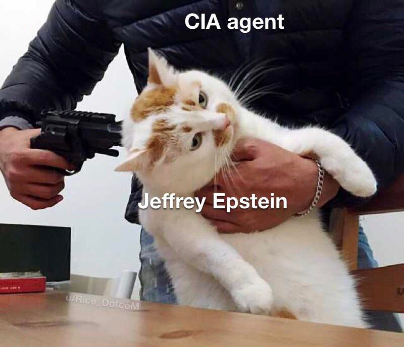 Man pointing gun at cat MemeTemplatesOfficial