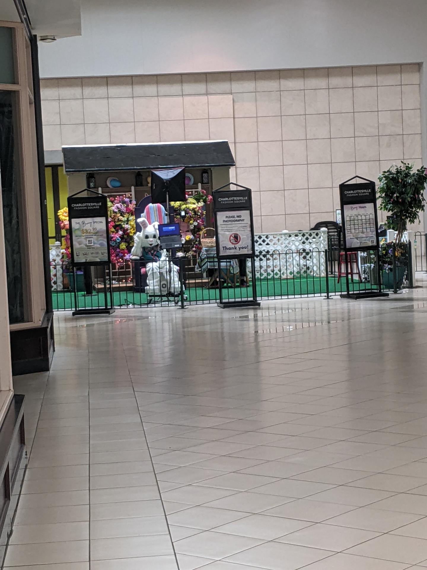 The mall Easter Bunny has seen better days Fashion square mall Charlottesville, VA r