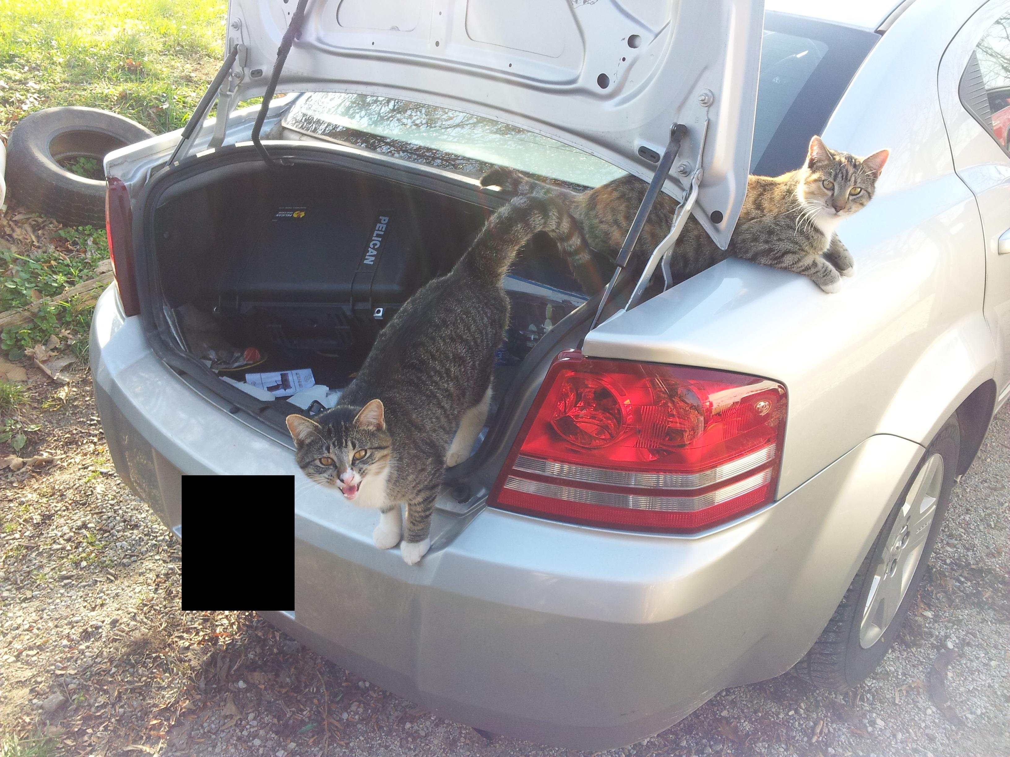 Years ago, I went to see my grandpa and took him something out of my