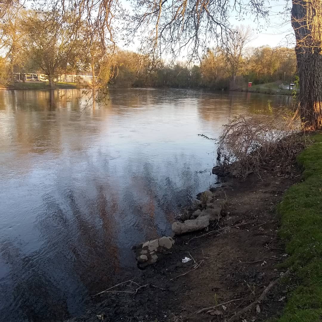 The calmer part of the lovely St.Joseph river, Michigan r/Michigan