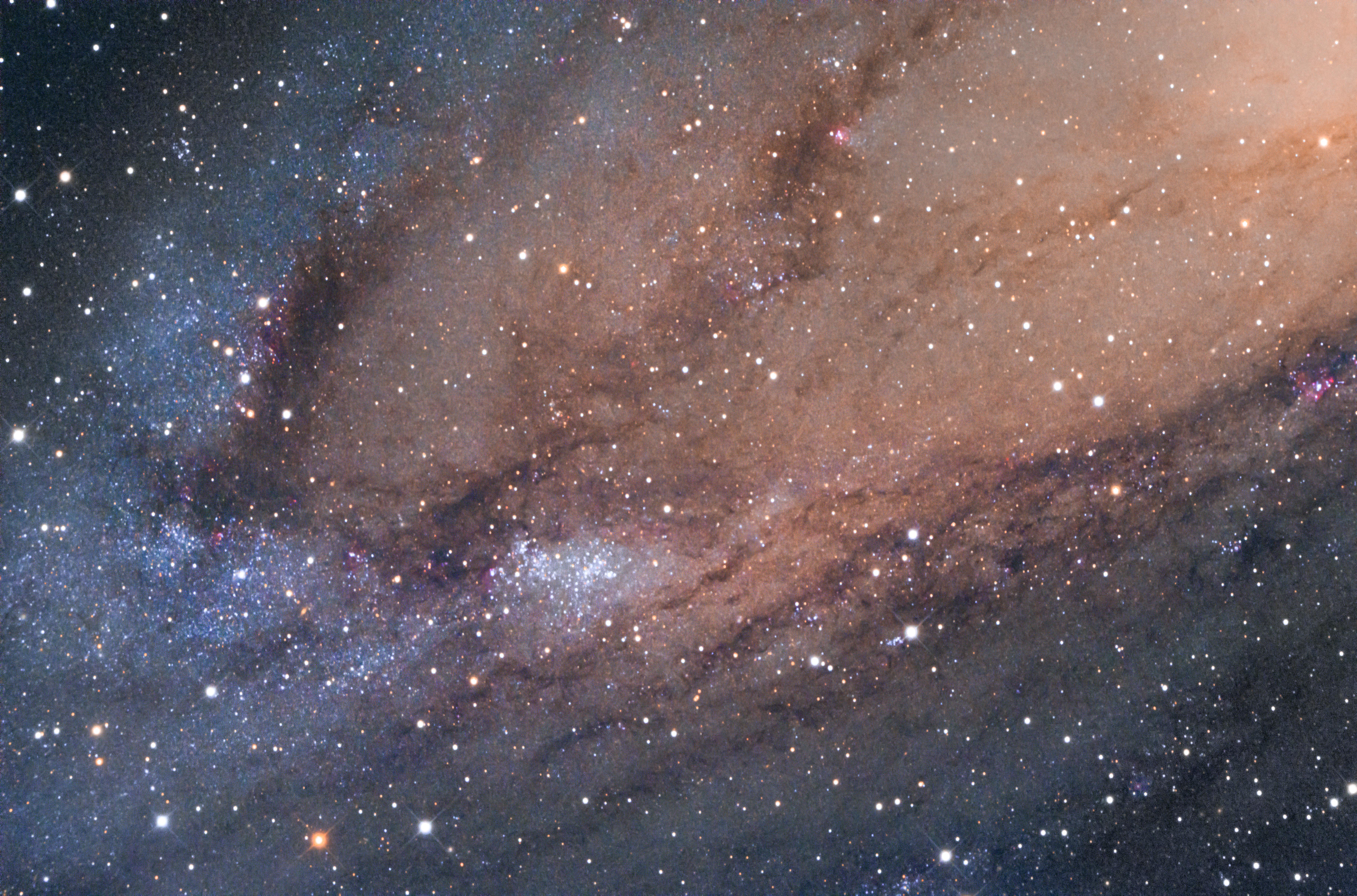 Starfields in the Andromeda Galaxy astrophotography