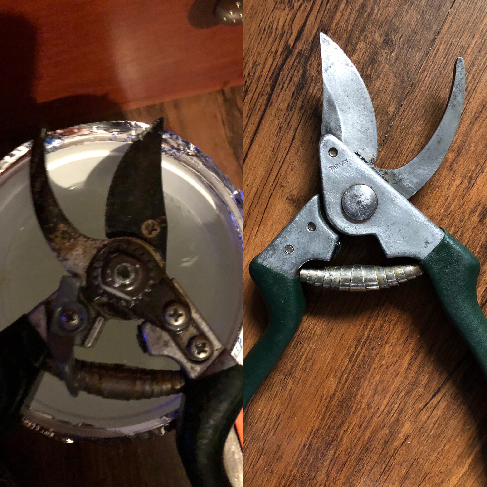 Not perfect but I restored these plant clippers! r/gardening