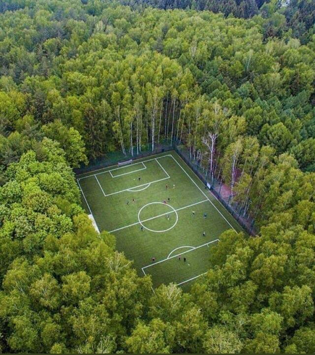 This football pitch in the middle of the forest. (Somewhere in Russia) r/mildlyinteresting