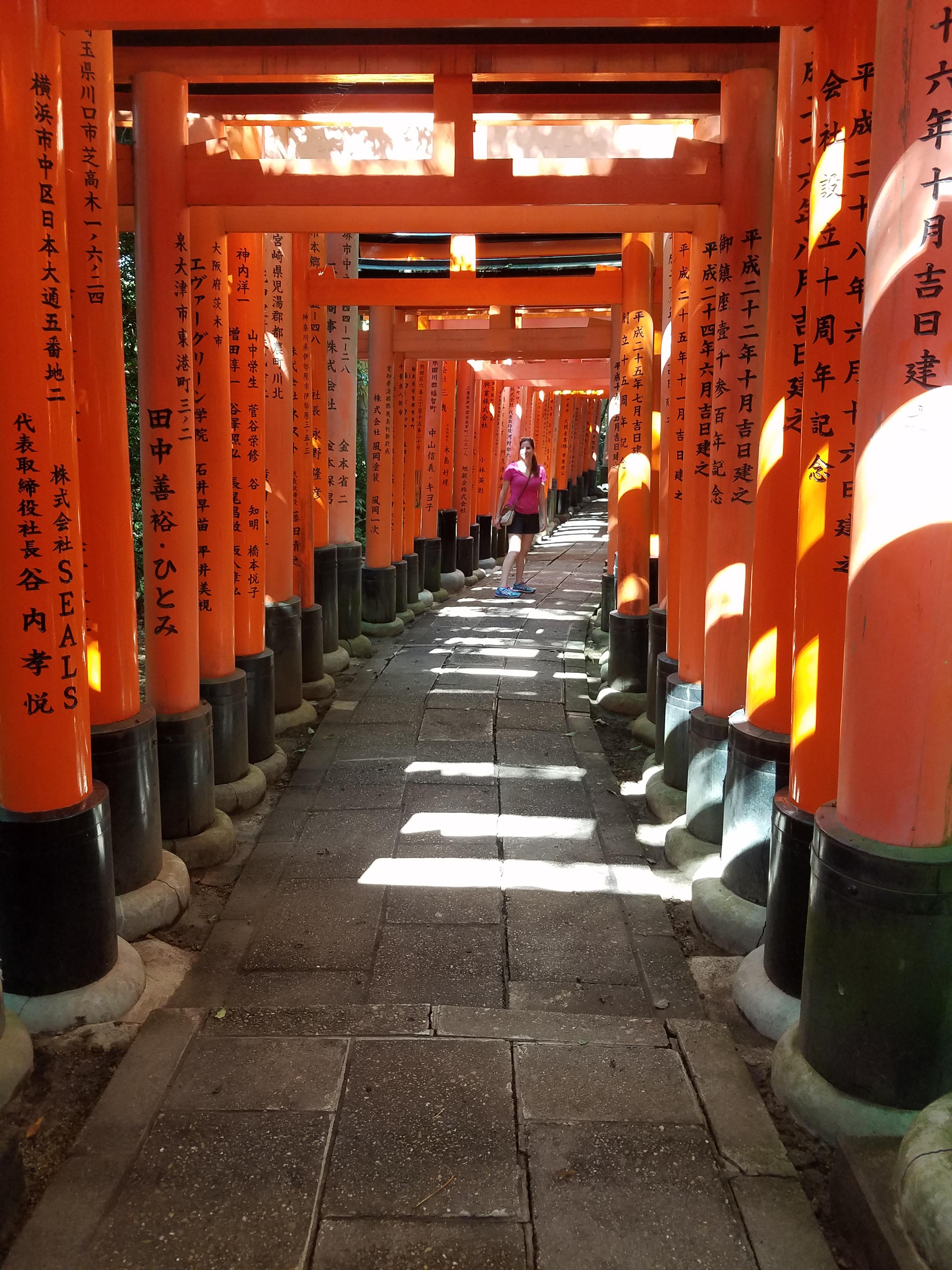 Torii gates. Nara, Japan r/japanpics