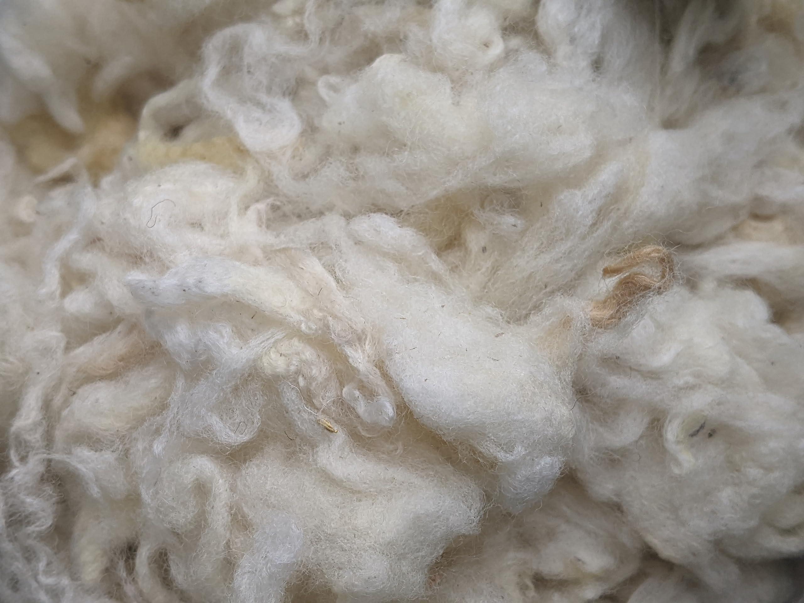 Thrumming Can I use small lengths of raw, uncarded wool instead of