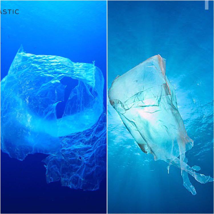 This images look like the same thing, but the first one is a plastic bag, and so is the other