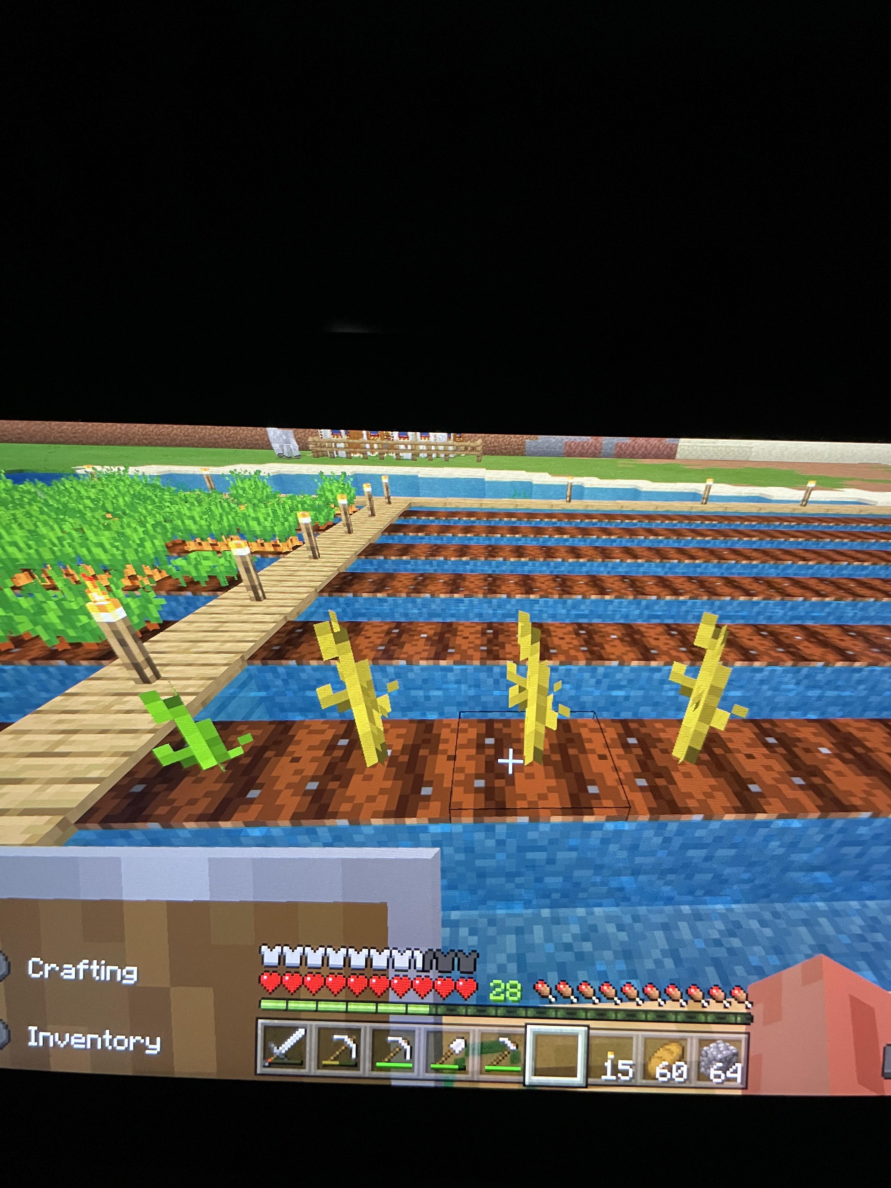 What am I doing wrong? I was told them growing right next to each other