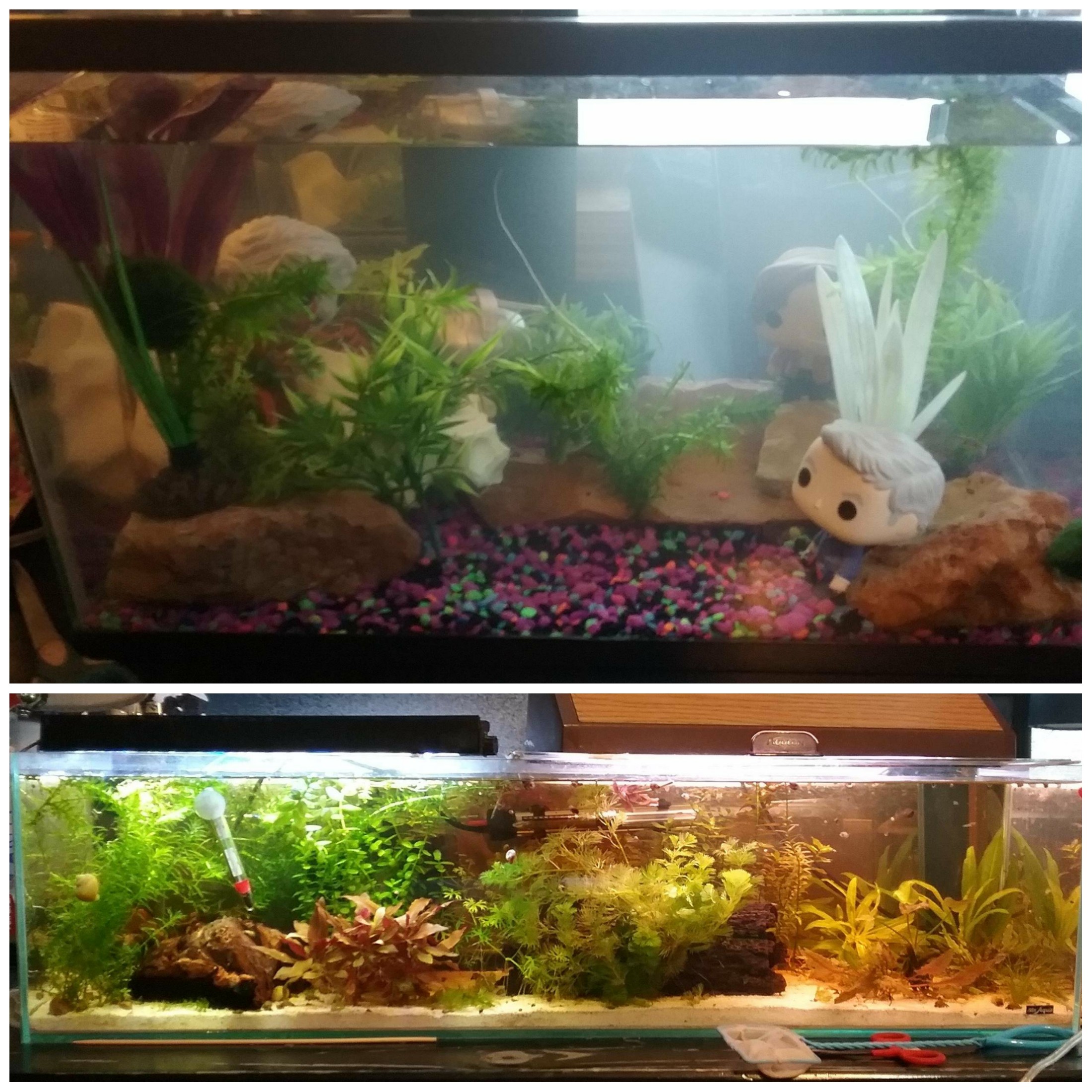 I have learned so much since I first posted to this sub 9 months ago