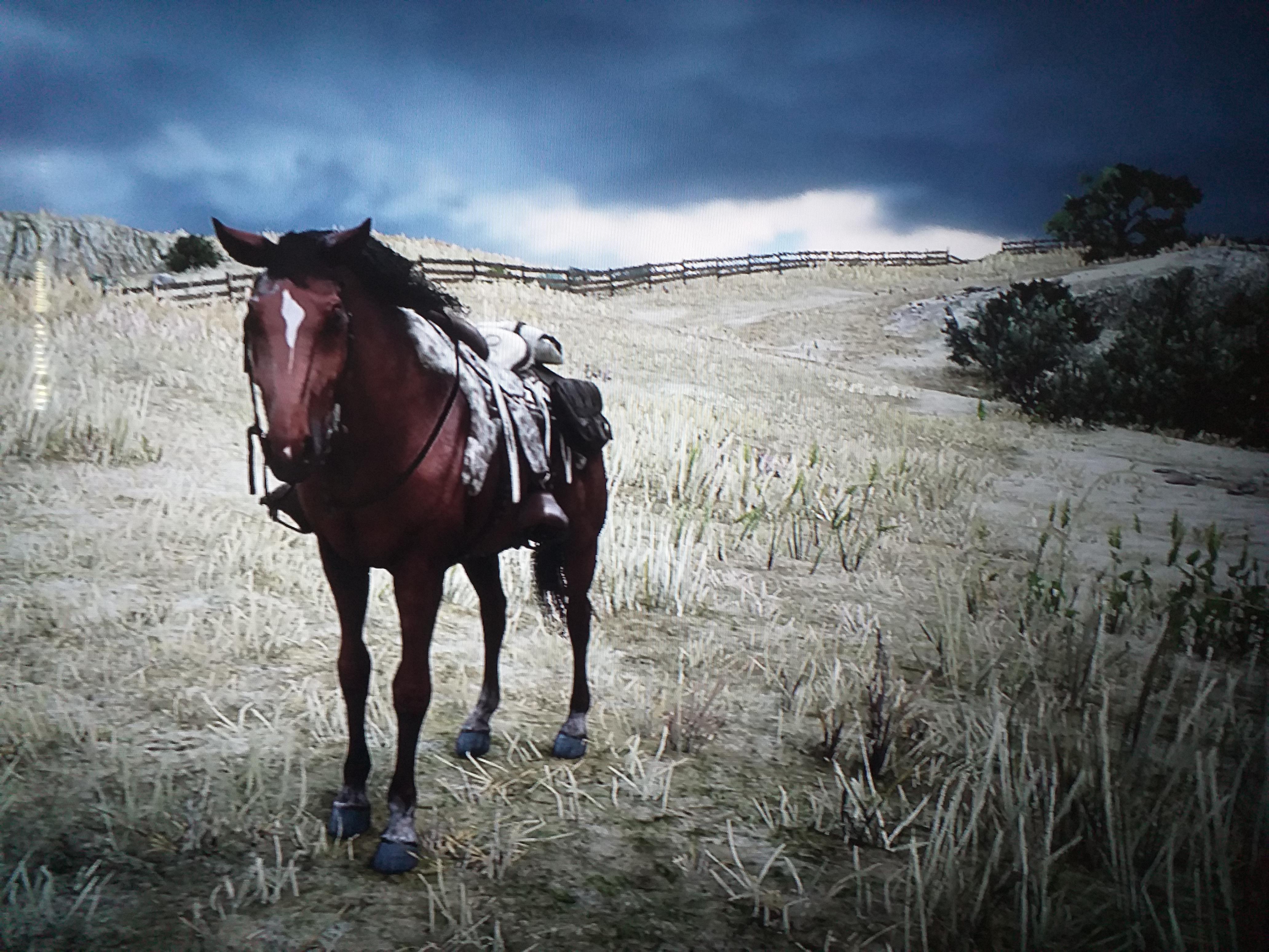 I made Joey from the movie War Horse (Tennessee Walker that appears