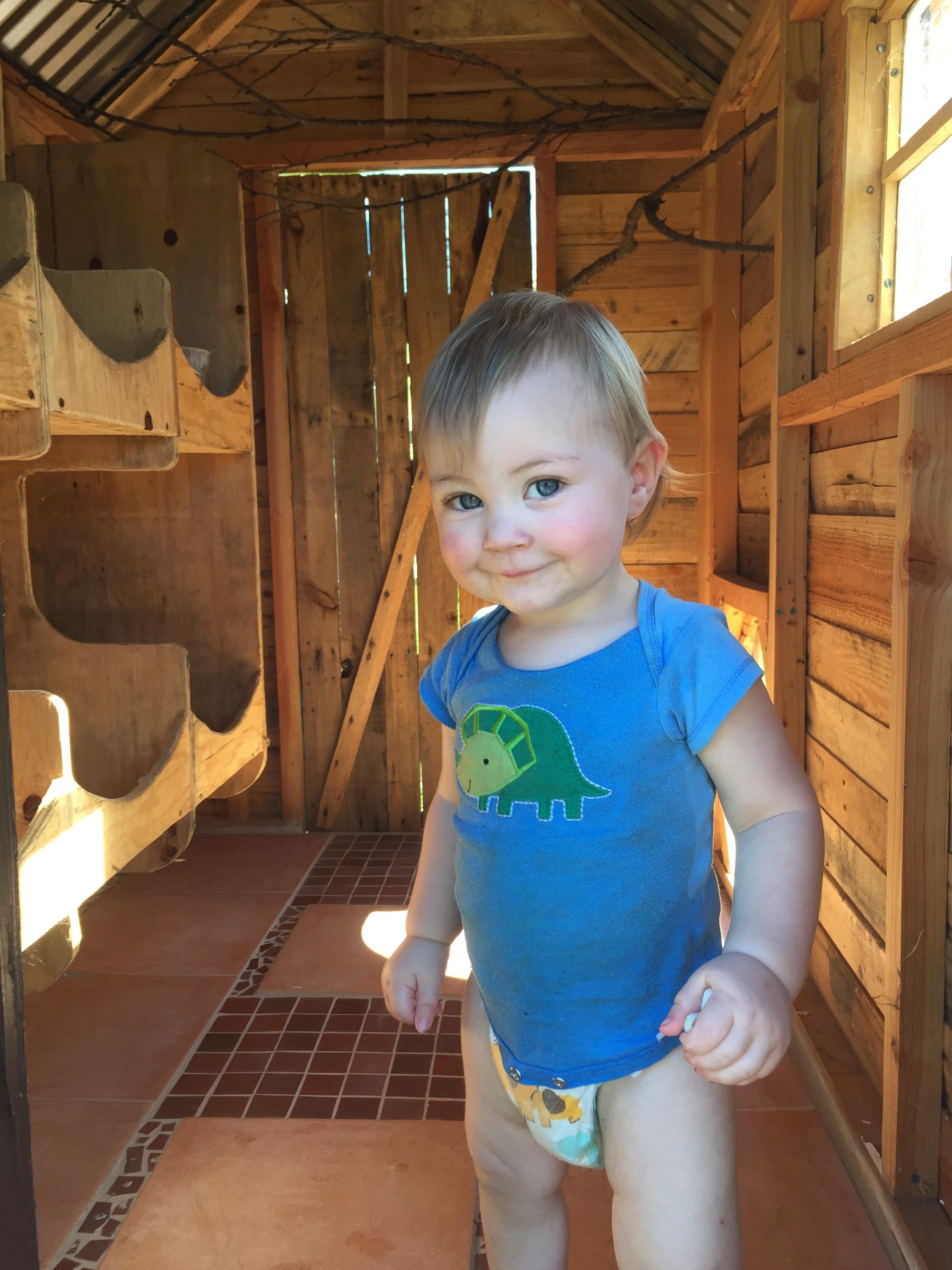 I built a chicken coop for my wife when she was still pregnant, and I