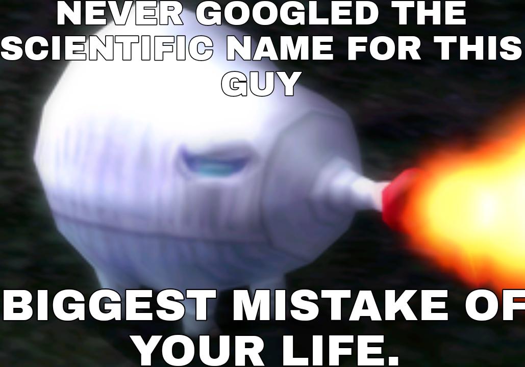 15 best u/thegaming_raptor7 images on Pholder The Gaming Beaver