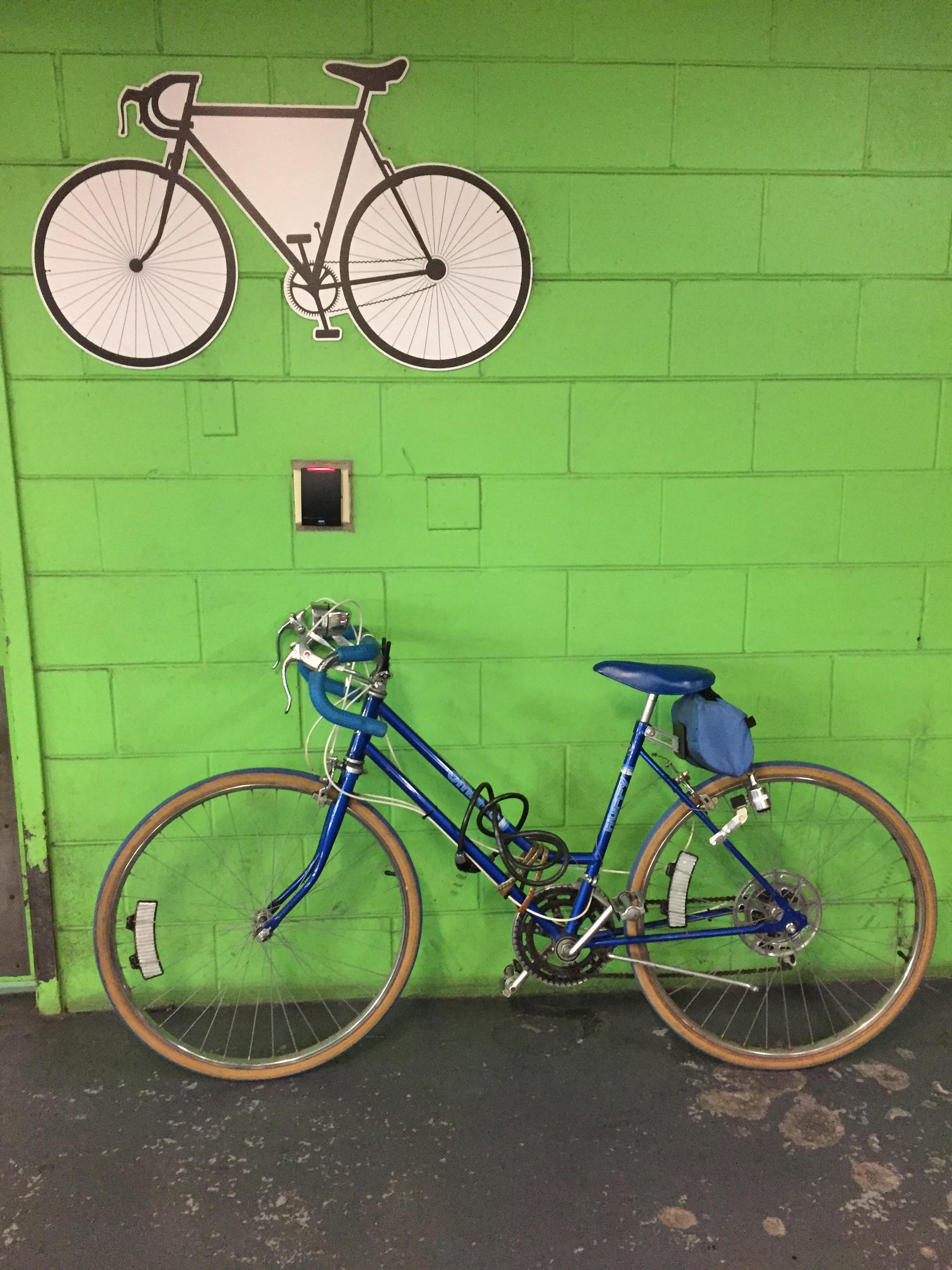 Nabbed this beautiful old huffy bike from a thrift app/It’s not my trek