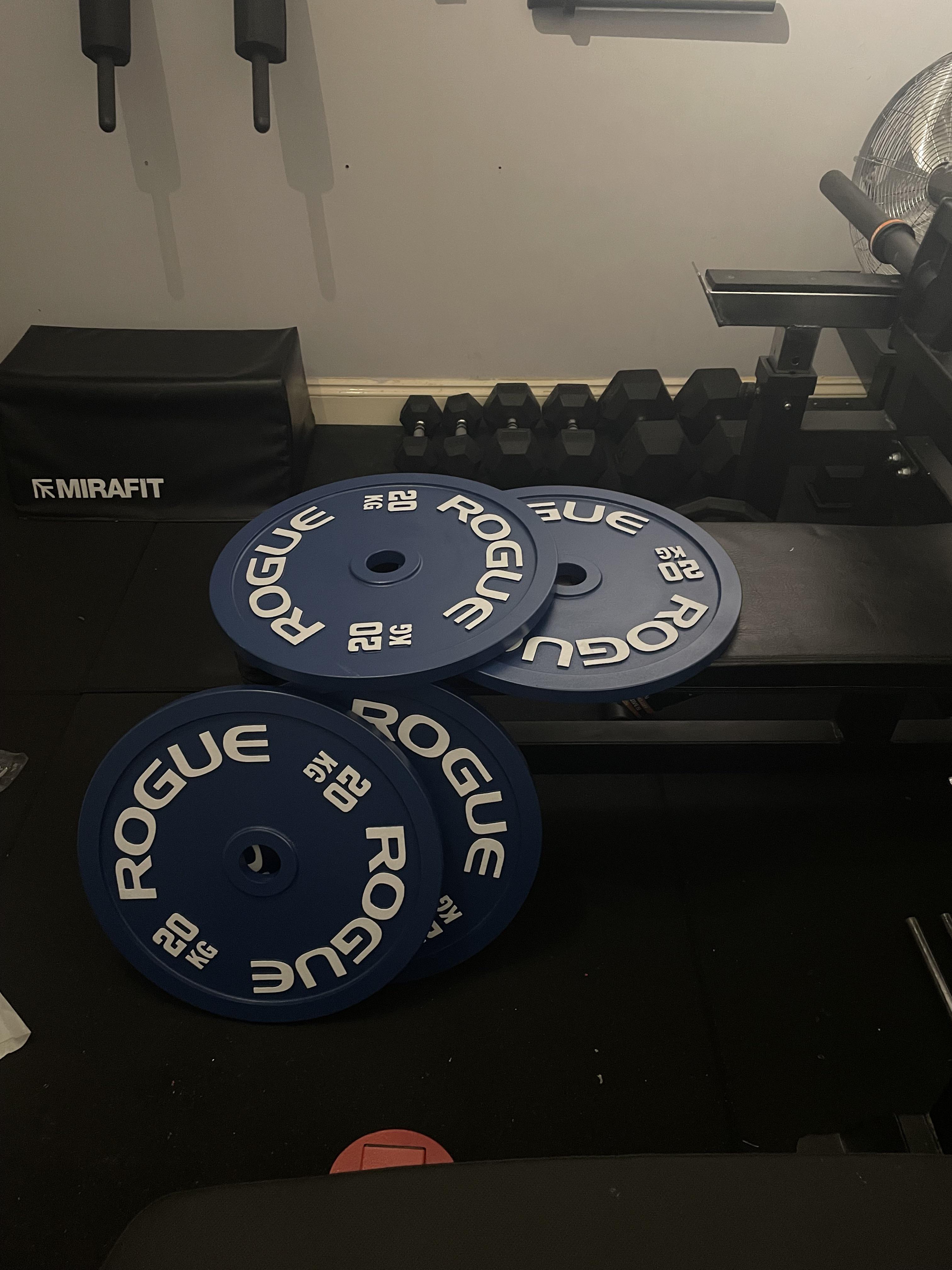 New rogue plates, UK. r/homegym