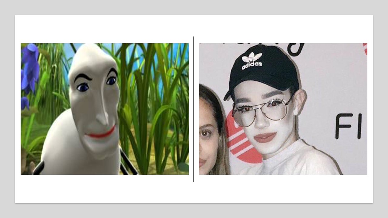 James Charles? r/PewdiepieSubmissions