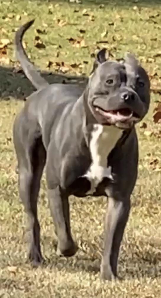 Any on what I could start feeding my one year old