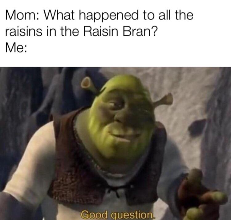 Two Scoops of Raisins in Kellogg’s Raisin Bran r/dankmemes