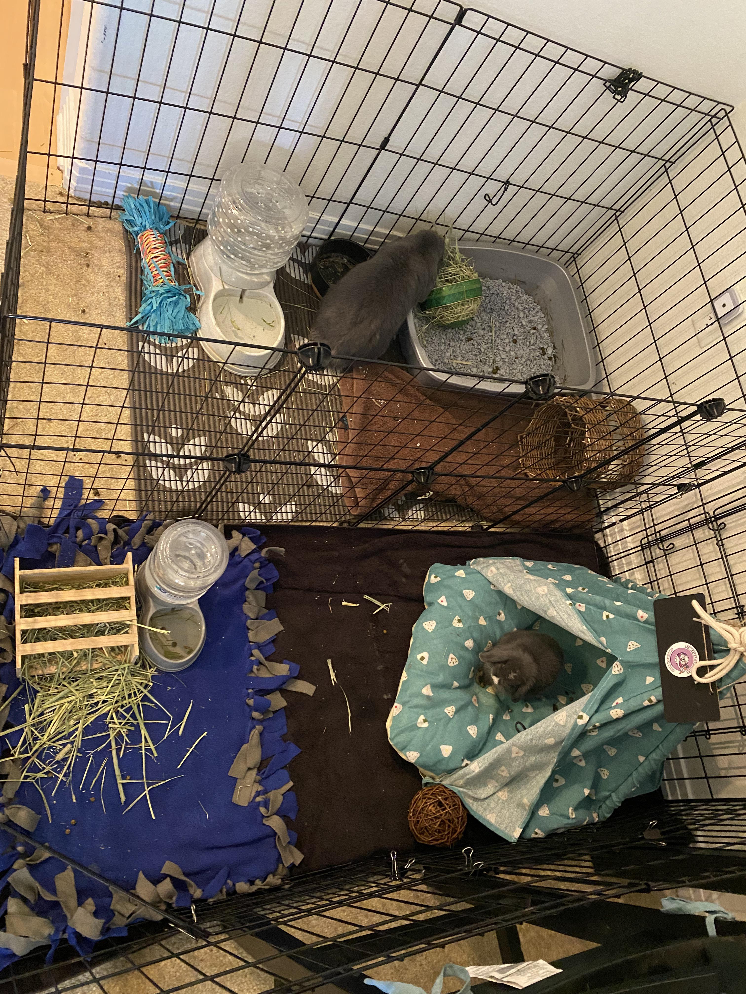 I absolutely hate having to take away the free roam but it’s necessary