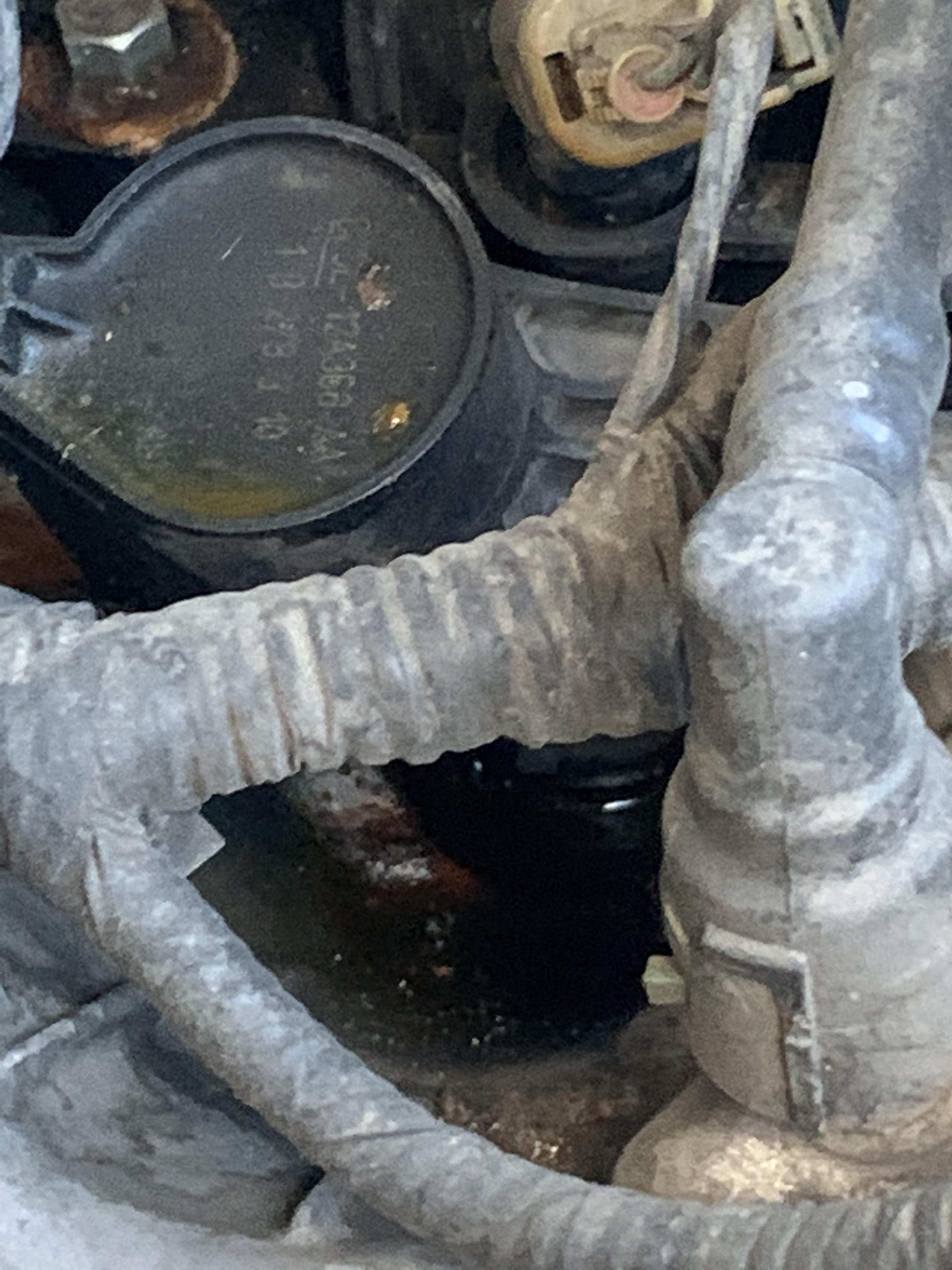 Is oil on top of engine a bad thing? What should I do? : r/MechanicAdvice