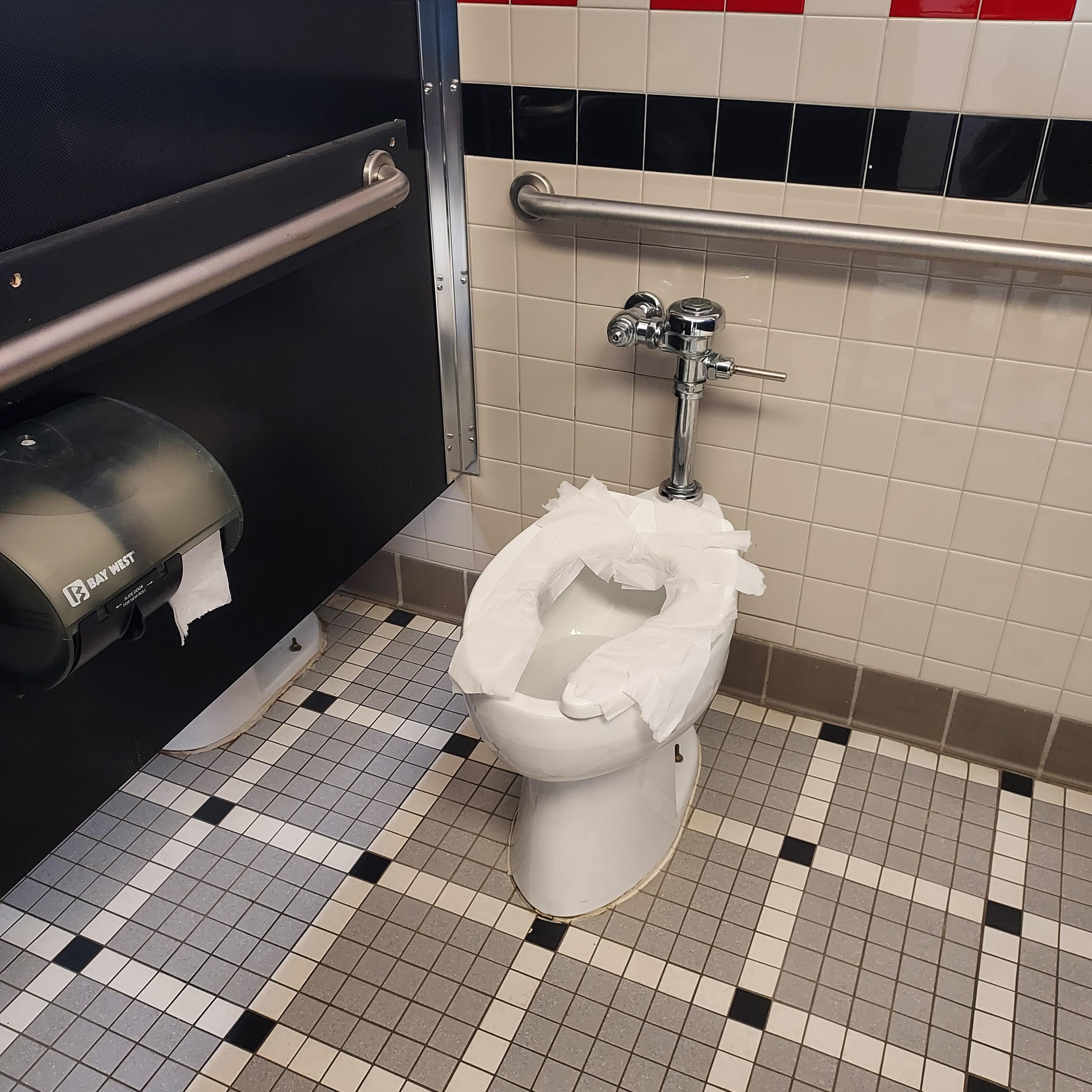 This toilet seat covered in TP r/mildlyinteresting