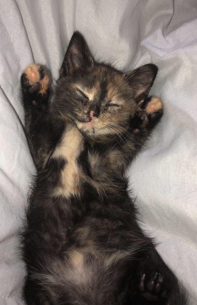 240 best u/sweetlikekendi images on Pholder | Freckled Girls, Gonewild