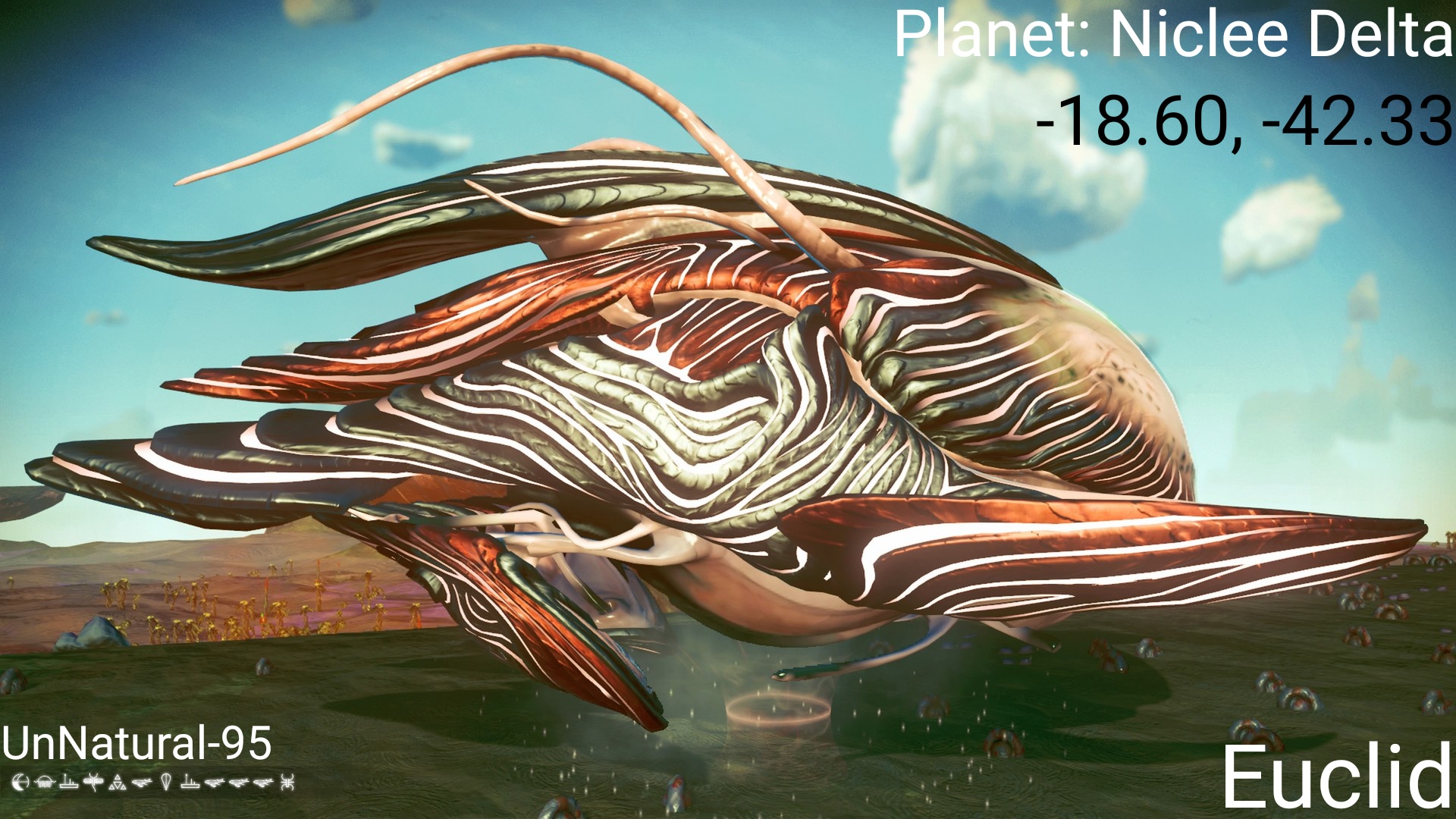 795 best Living Ship images on Pholder No Mans Sky The Game, NMS