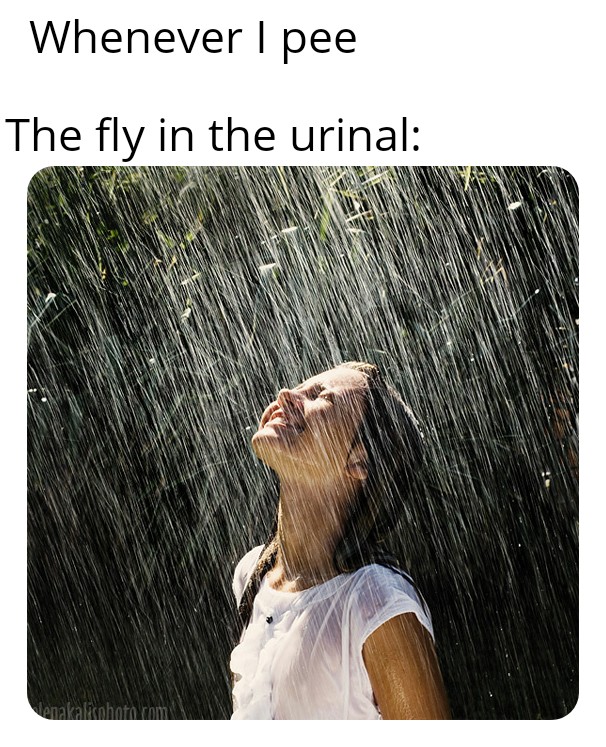 Like standing in the rain r/memes