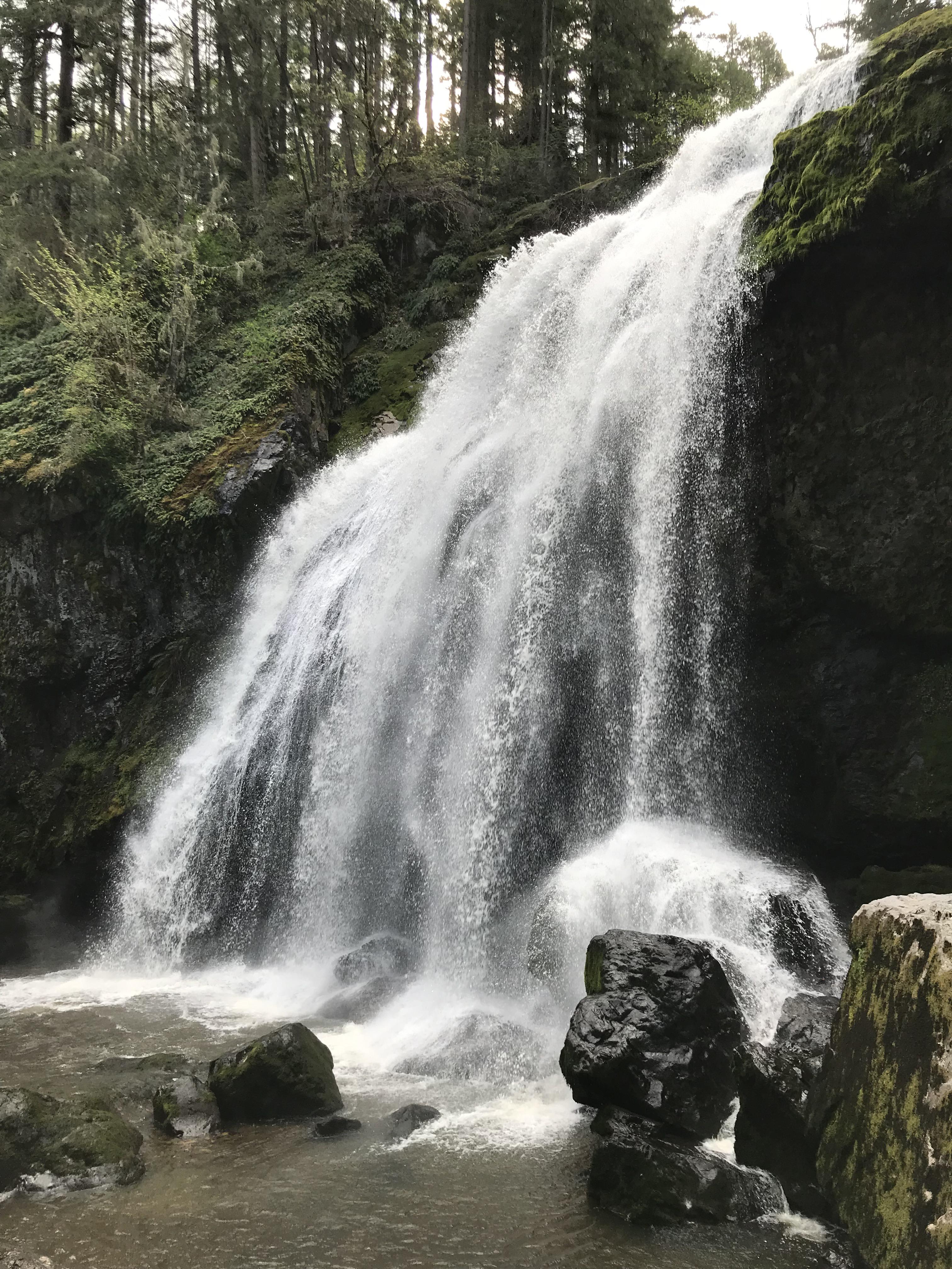 Little Mashel Falls, Eatonville, WA, USA (04/27/19) r/hiking