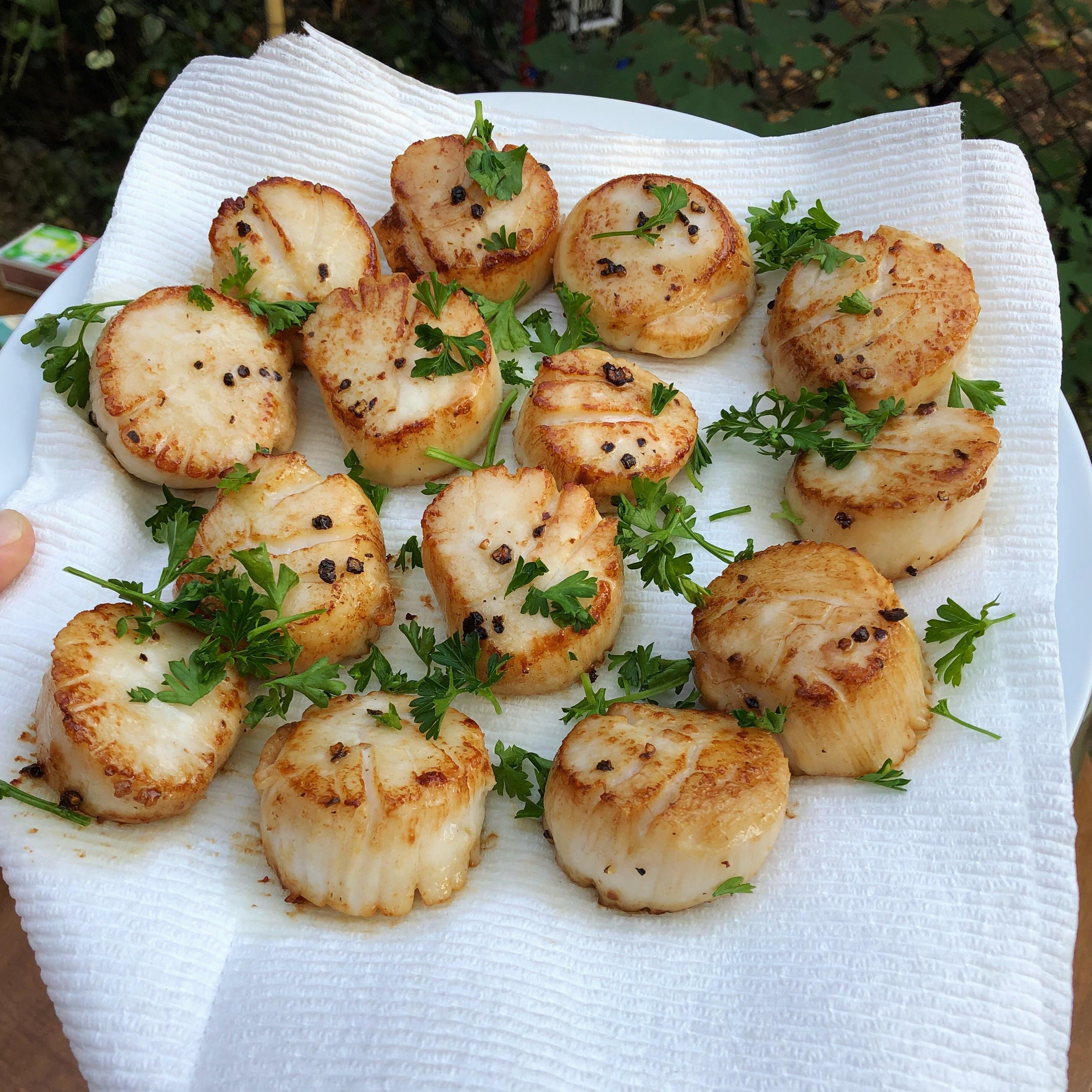 [Homemade] Seared Scallops r/food