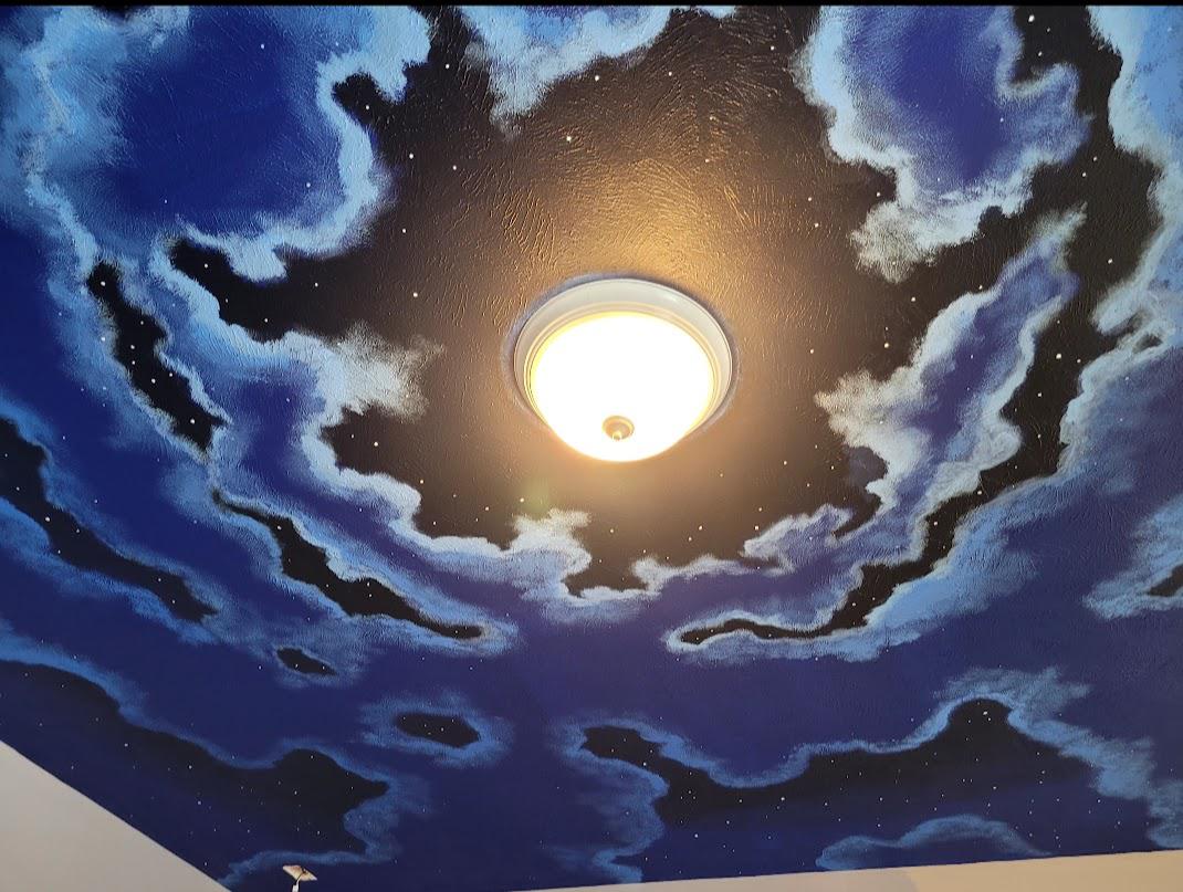 Night Sky Painting Ceiling