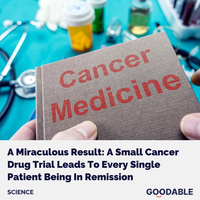 A new trial for a cancer drug led to every single patient being in