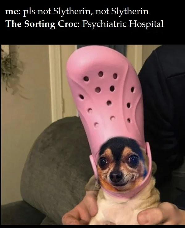 Try putting on your girlfriend's sorting panty r/memes