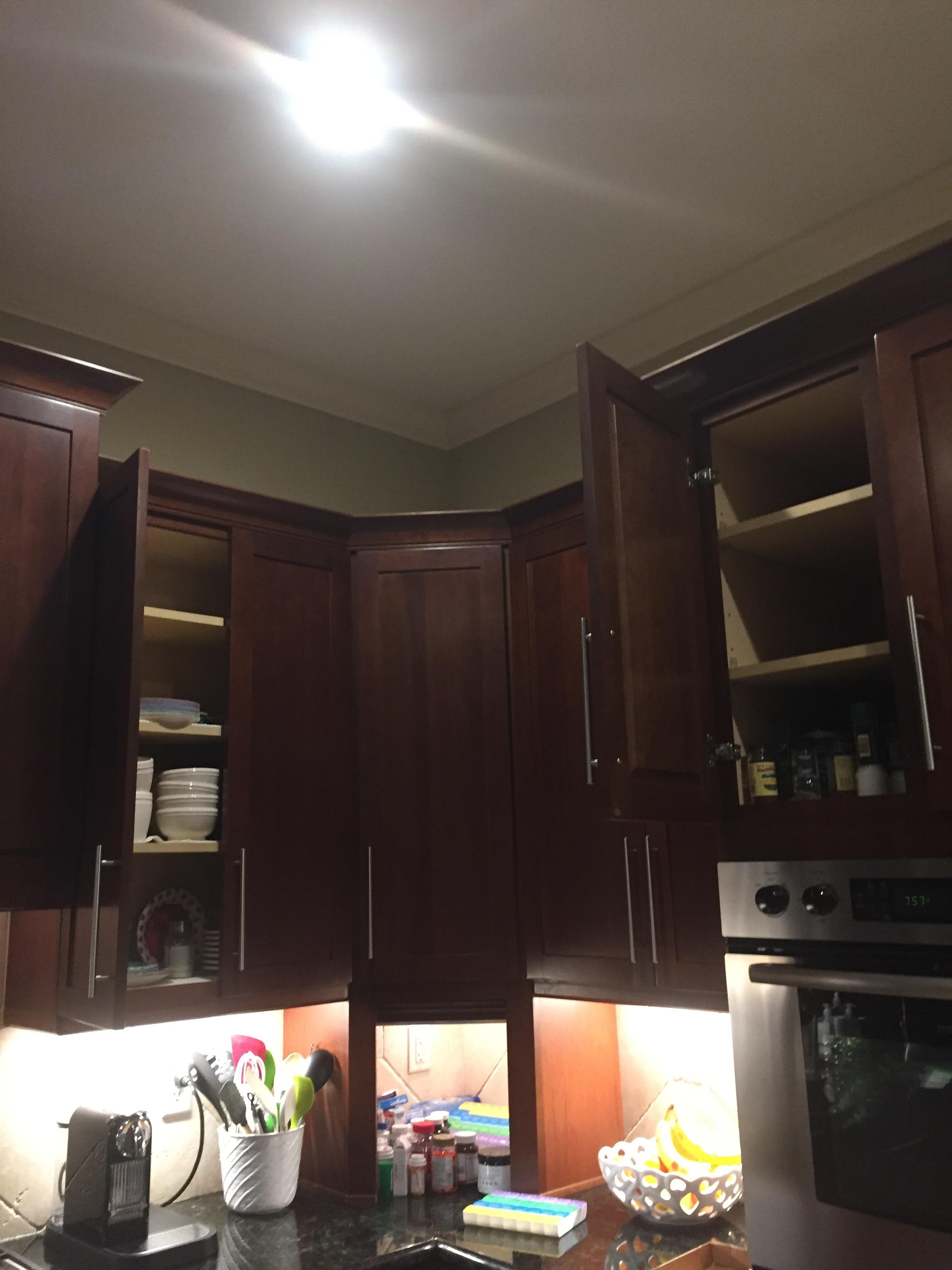 My family likes to leave random doors open. r/mildlyinfuriating