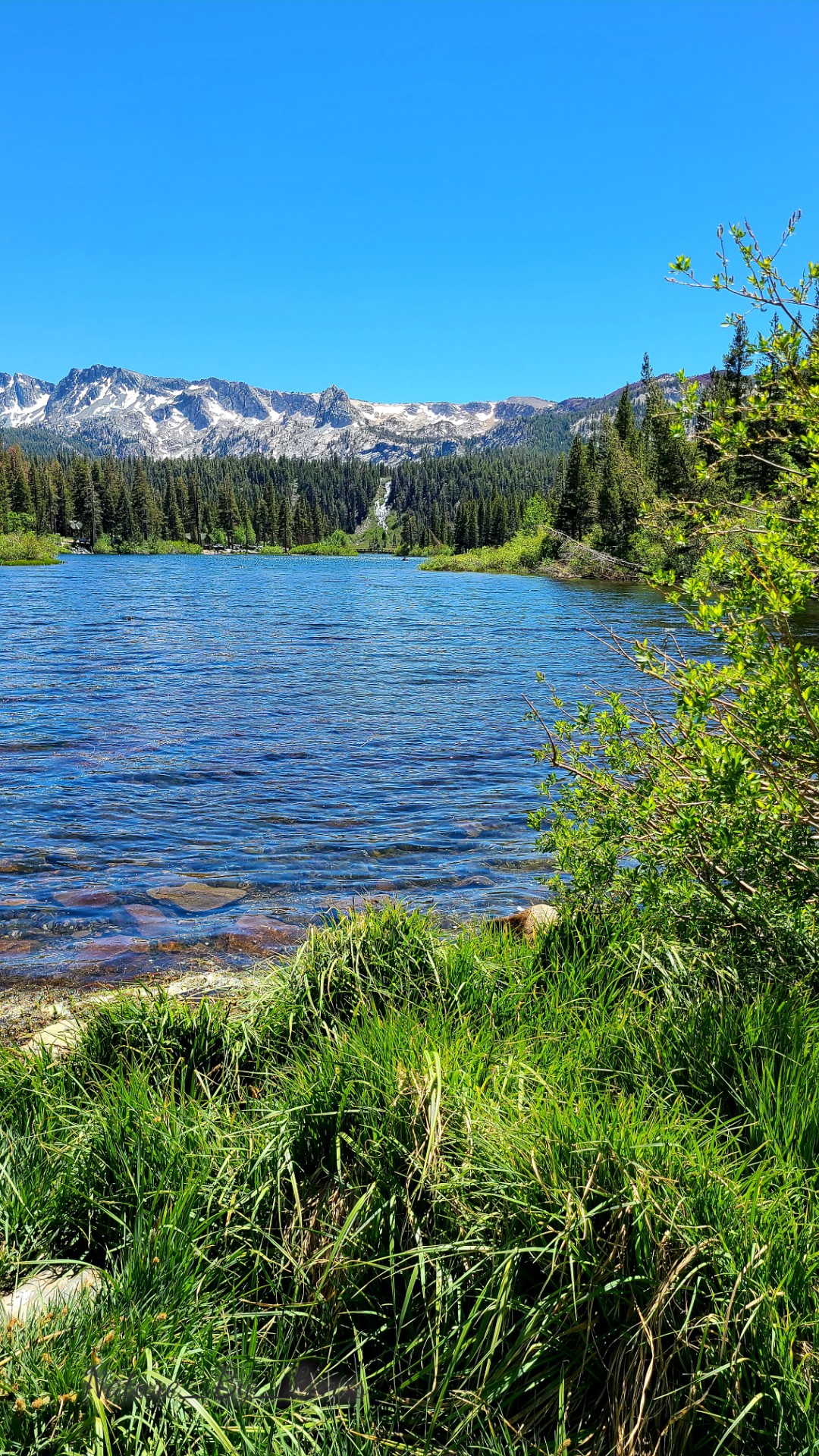 Twin Lakes Mammoth Mammoth California r/Outdoors