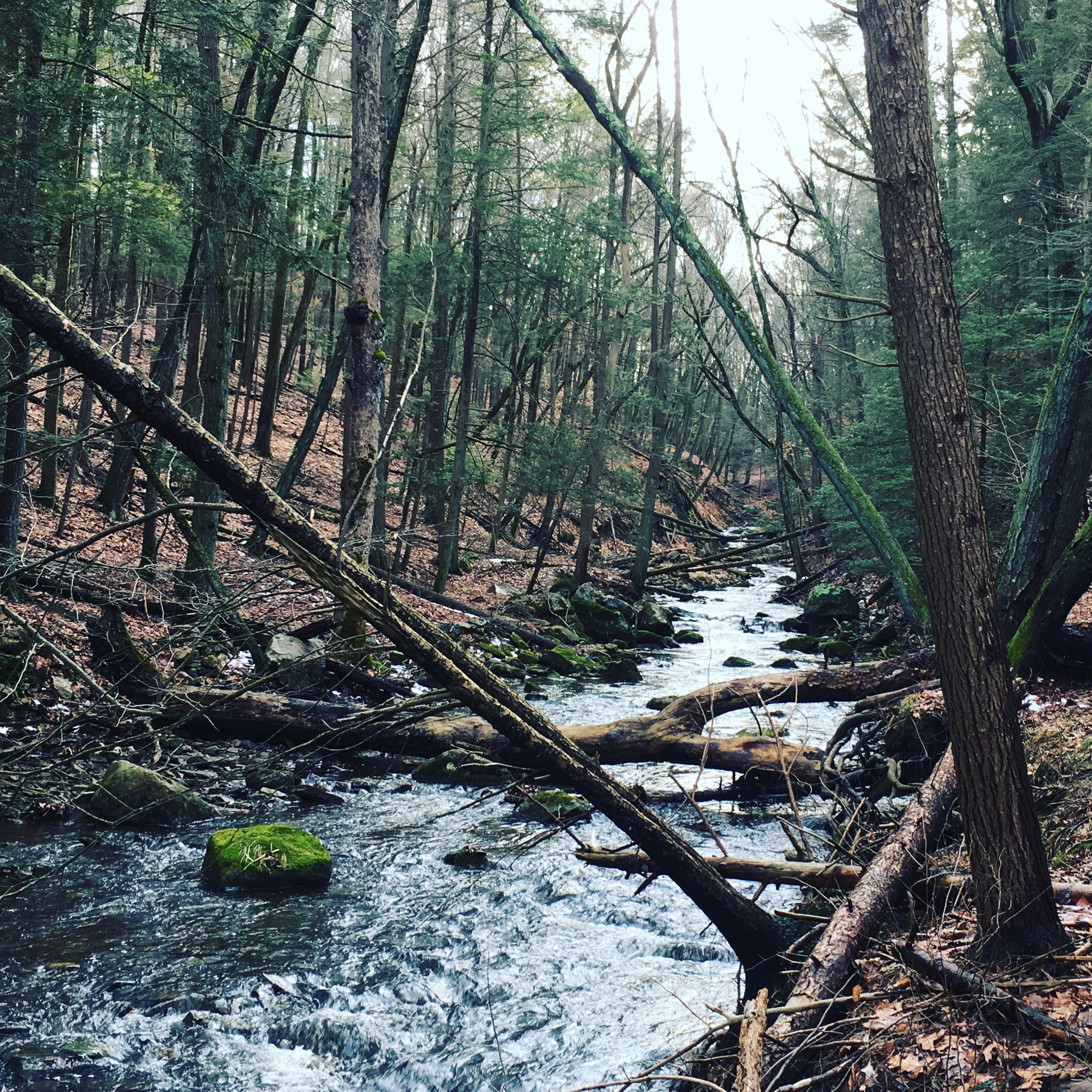 Broad Brook in Bedford, New York [OC] [3264x2448] r/EarthPorn